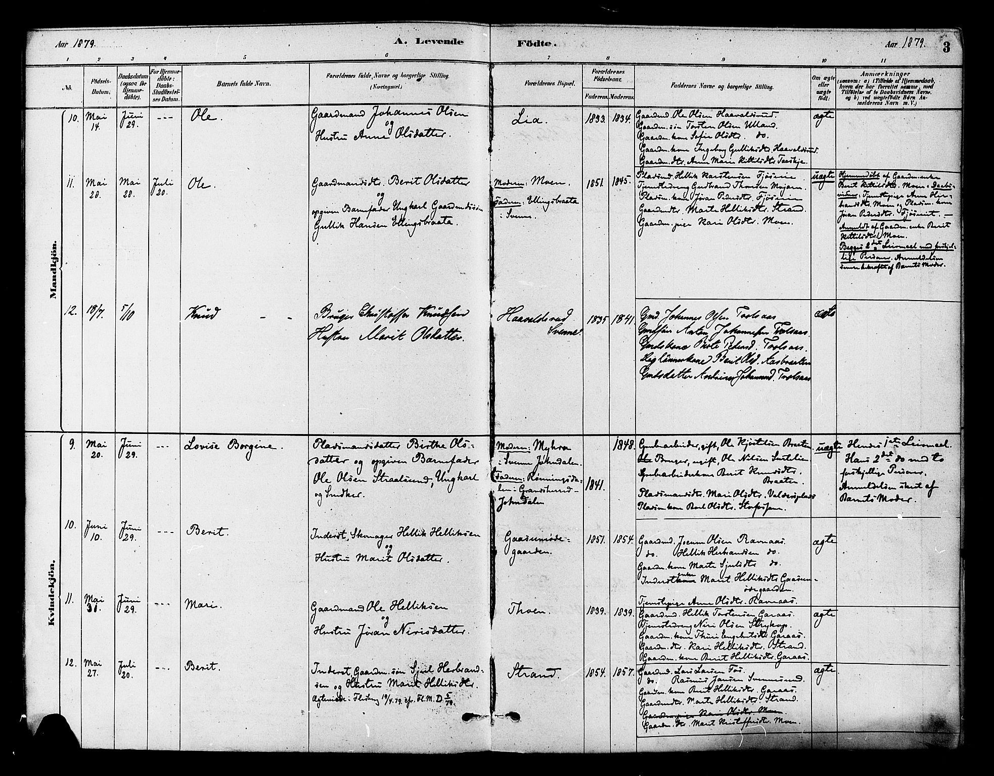 Flesberg kirkebøker, AV/SAKO-A-18/F/Fb/L0001: Parish register (official) no. II 1, 1879-1907, p. 3