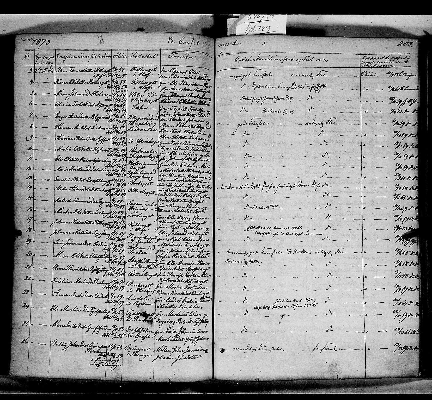 Grue prestekontor, AV/SAH-PREST-036/H/Ha/Haa/L0010: Parish register (official) no. 10, 1864-1873, p. 203