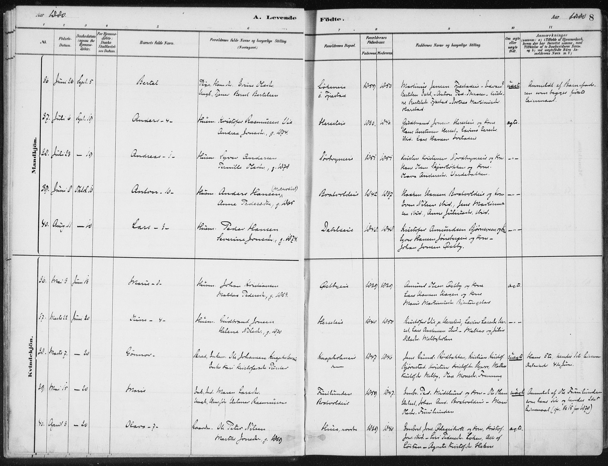 Romedal prestekontor, AV/SAH-PREST-004/K/L0010: Parish register (official) no. 10, 1880-1895, p. 8