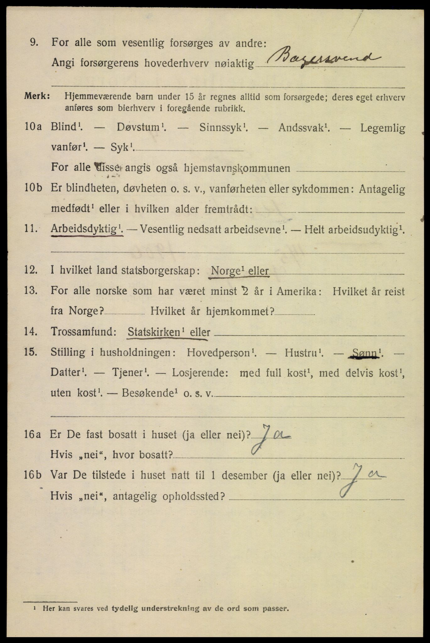 SAH, 1920 census for Gjøvik, 1920, p. 6565