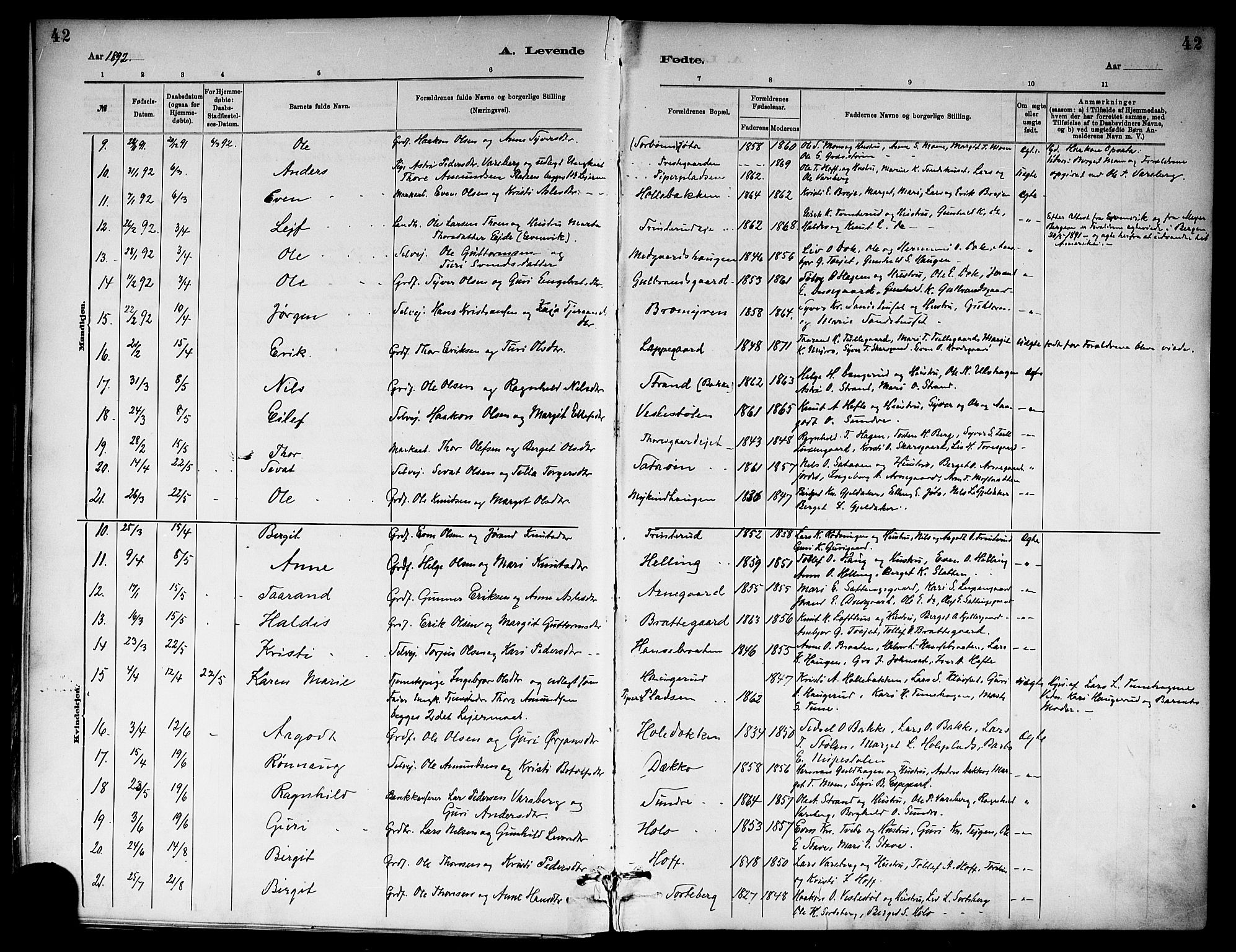 Ål kirkebøker, AV/SAKO-A-249/F/Fa/L0008: Parish register (official) no. I 8, 1882-1896, p. 42