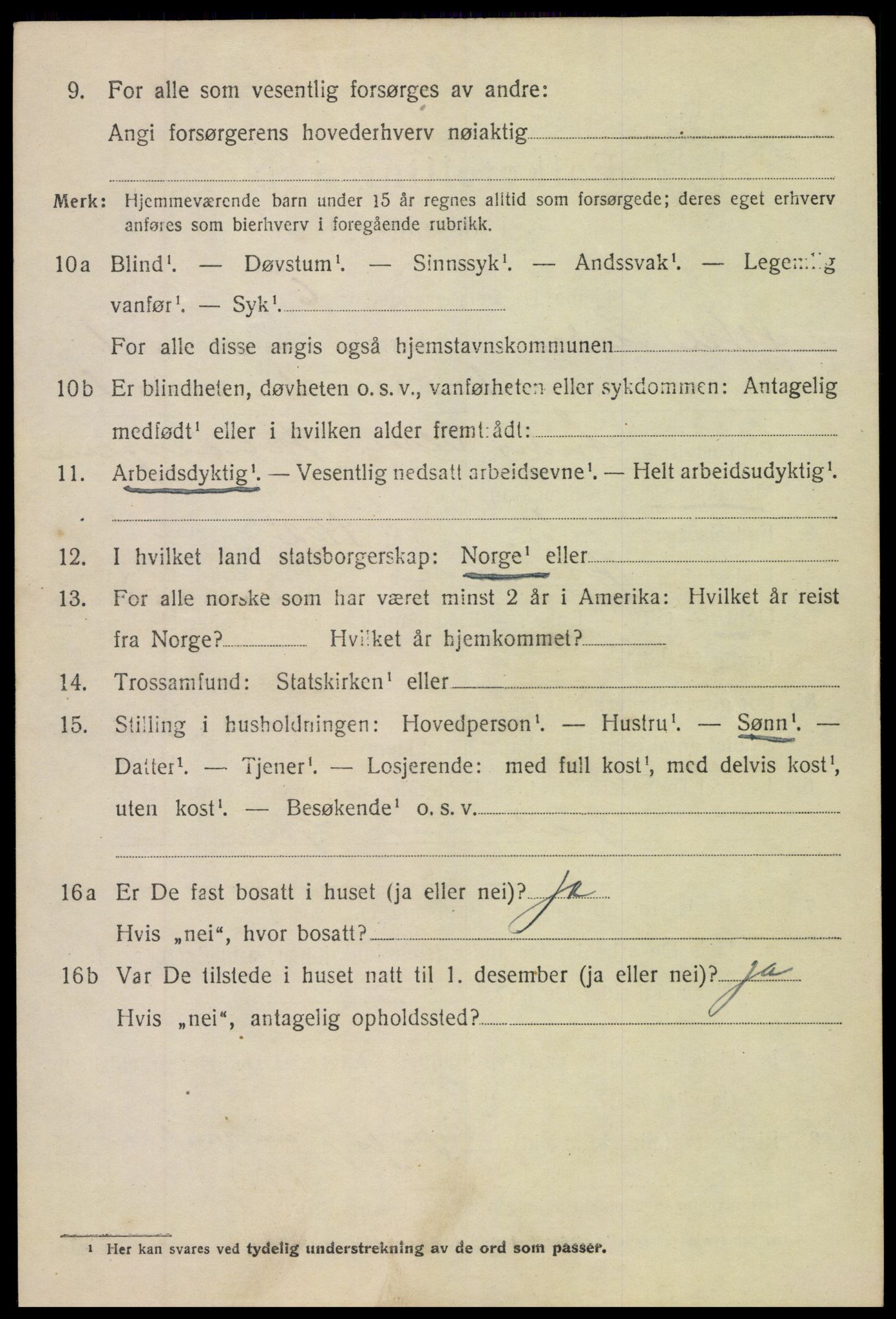 SAH, 1920 census for Øystre Slidre, 1920, p. 1014