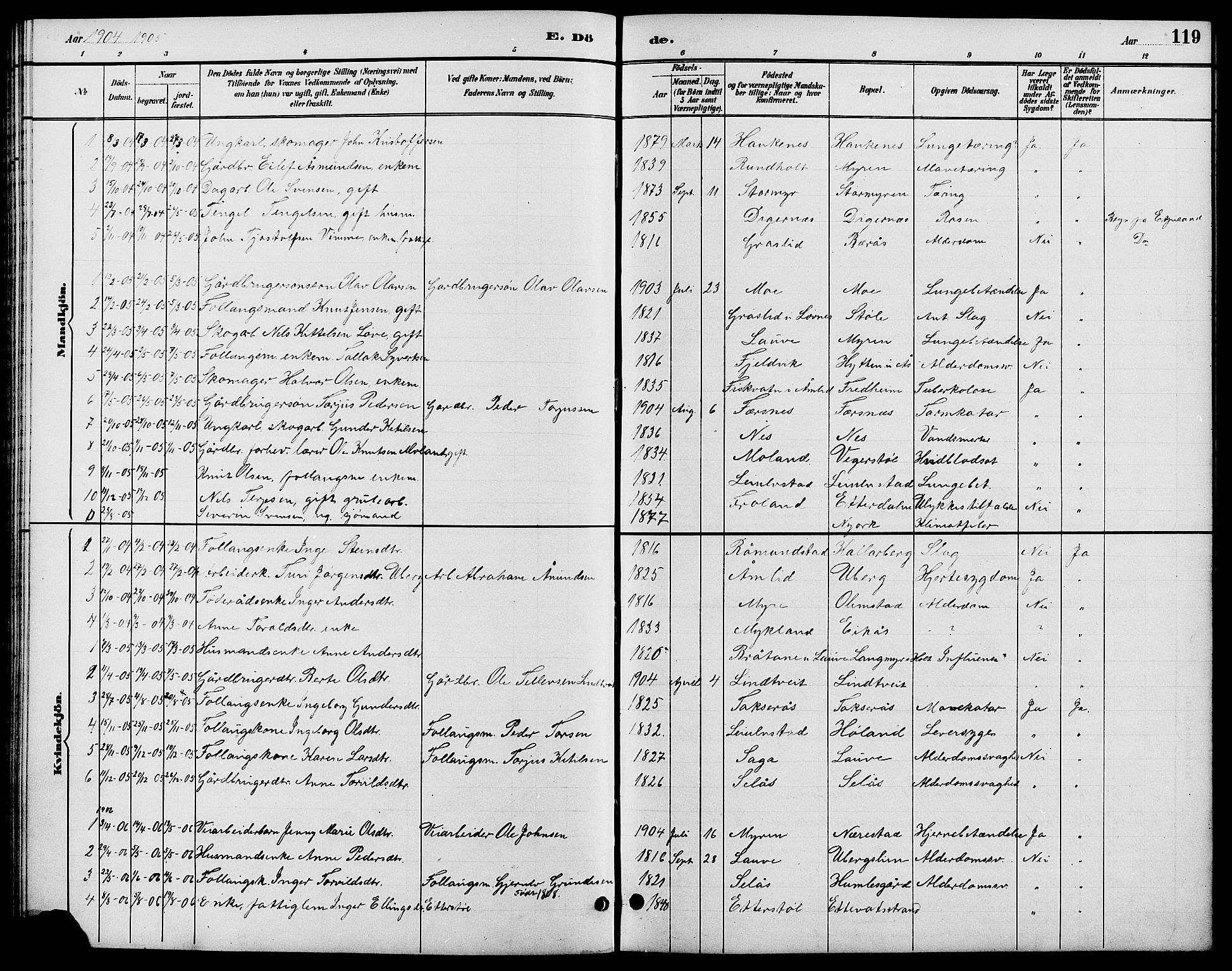 Gjerstad sokneprestkontor, SAK/1111-0014/F/Fb/Fbb/L0004: Parish register (copy) no. B 4, 1890-1910, p. 119