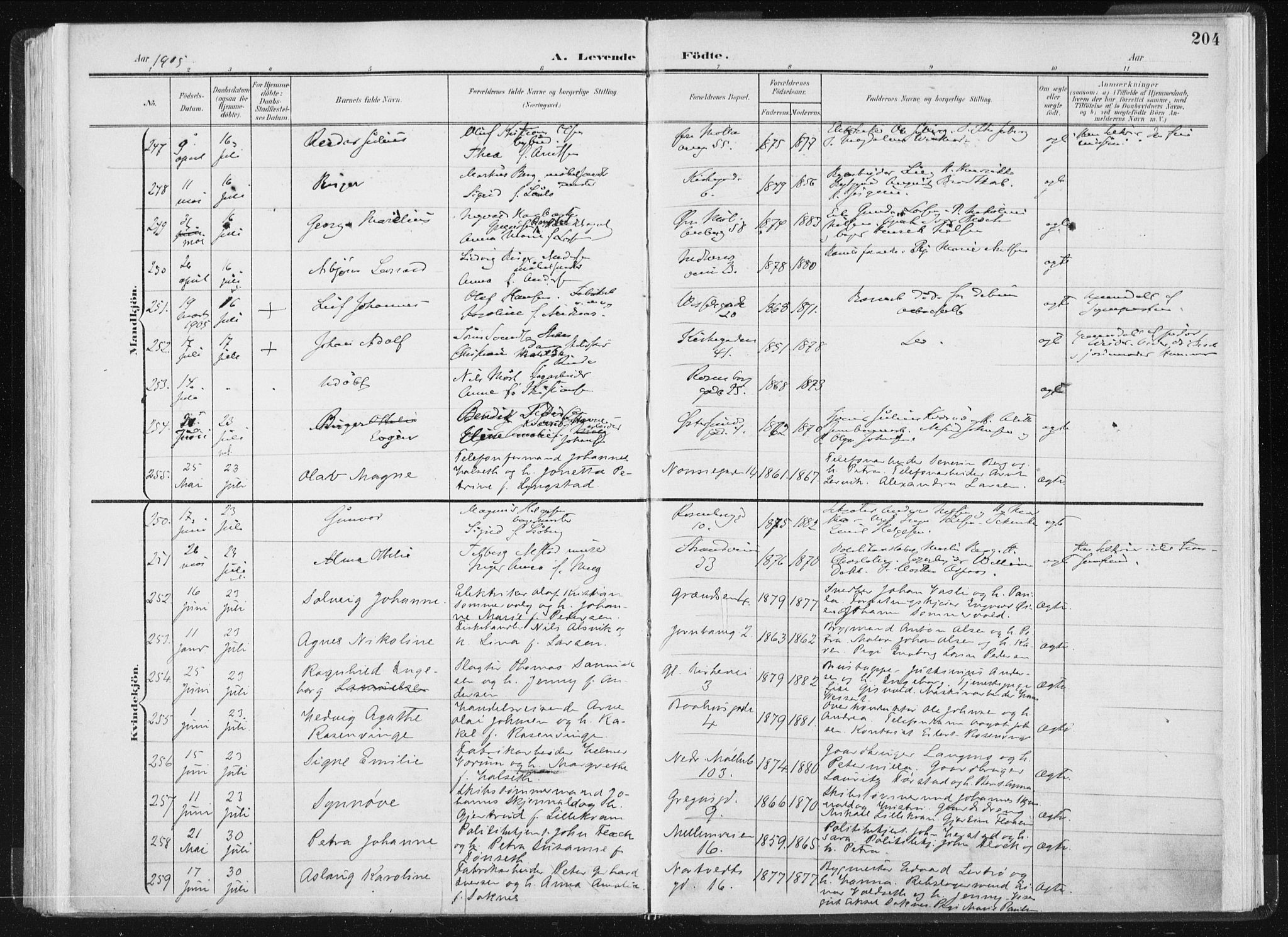 Ministerialprotokoller, klokkerbøker og fødselsregistre - Sør-Trøndelag, SAT/A-1456/604/L0199: Parish register (official) no. 604A20I, 1901-1906, p. 204