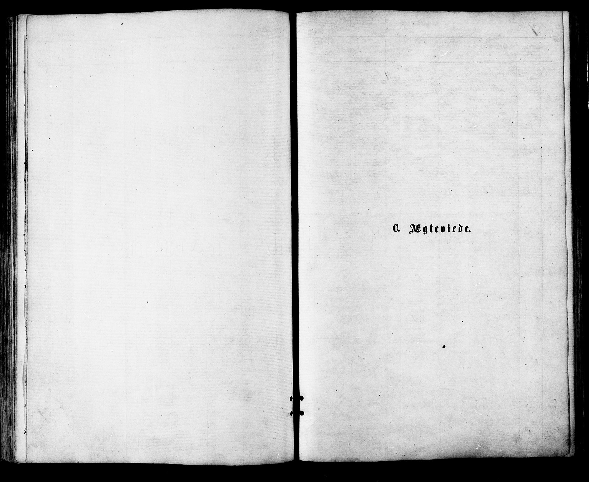 Ministerialprotokoller, klokkerbøker og fødselsregistre - Nordland, SAT/A-1459/881/L1166: Parish register (copy) no. 881C03, 1876-1885