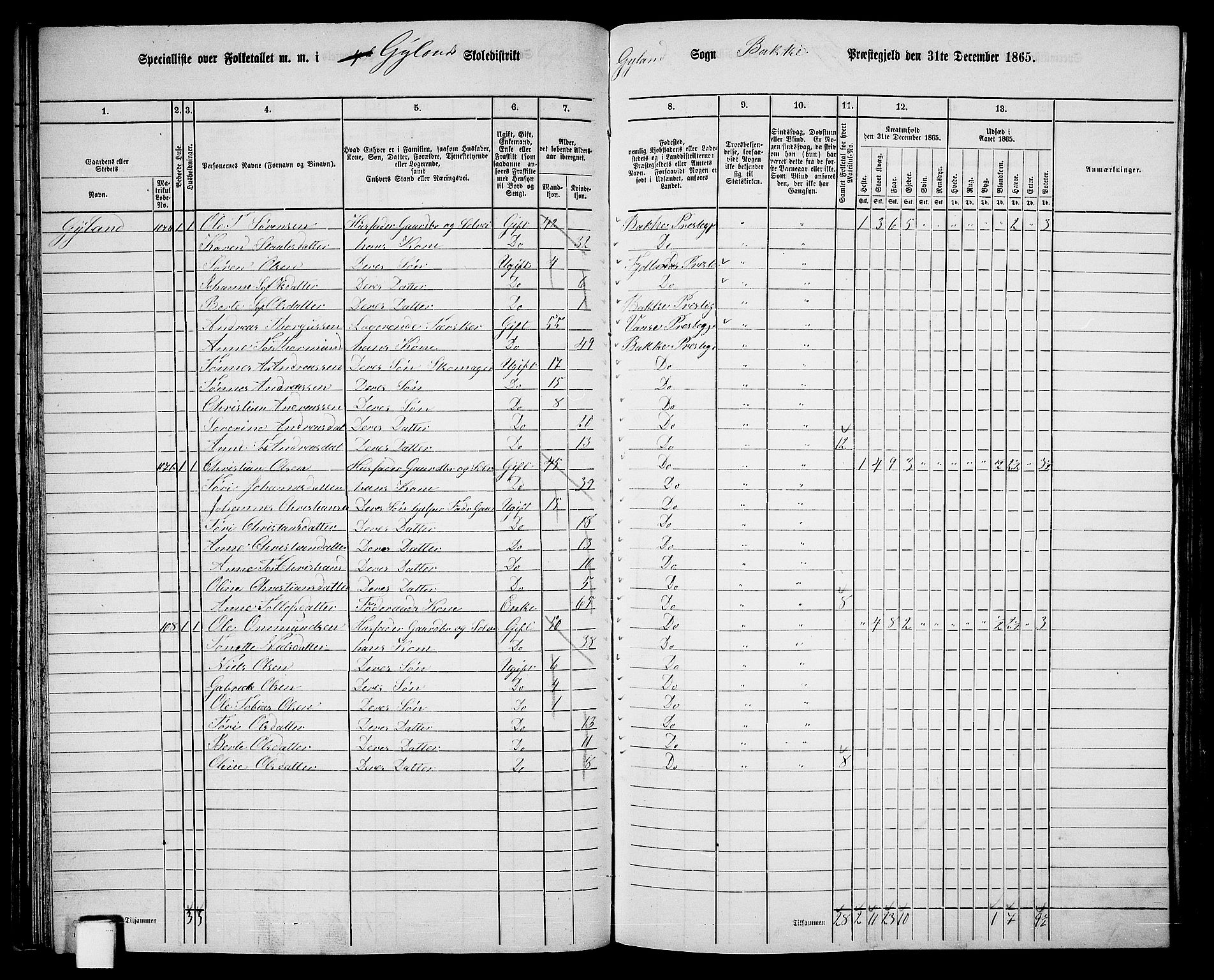 RA, 1865 census for Bakke, 1865, p. 45