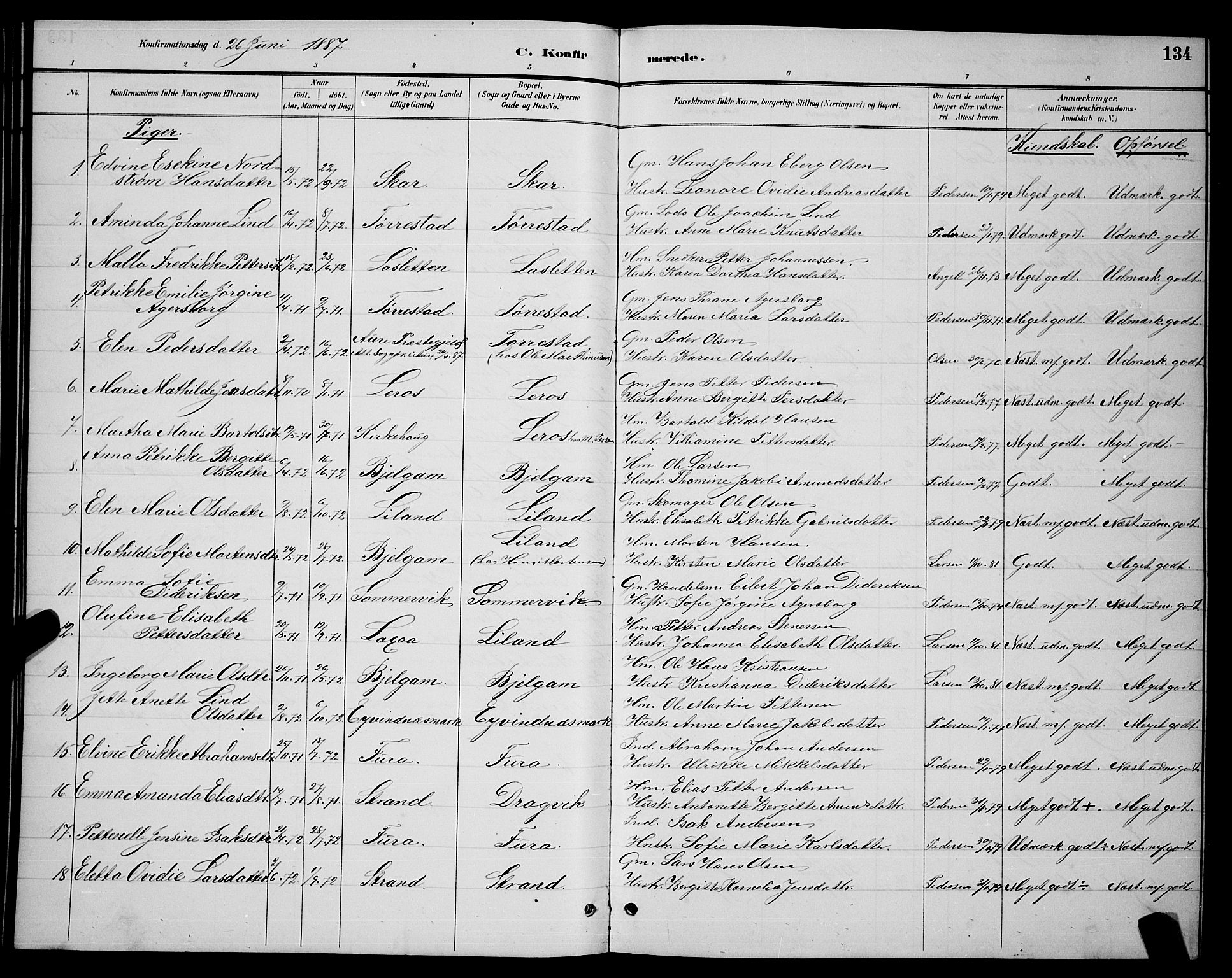 Ministerialprotokoller, klokkerbøker og fødselsregistre - Nordland, AV/SAT-A-1459/863/L0914: Parish register (copy) no. 863C04, 1886-1897, p. 134