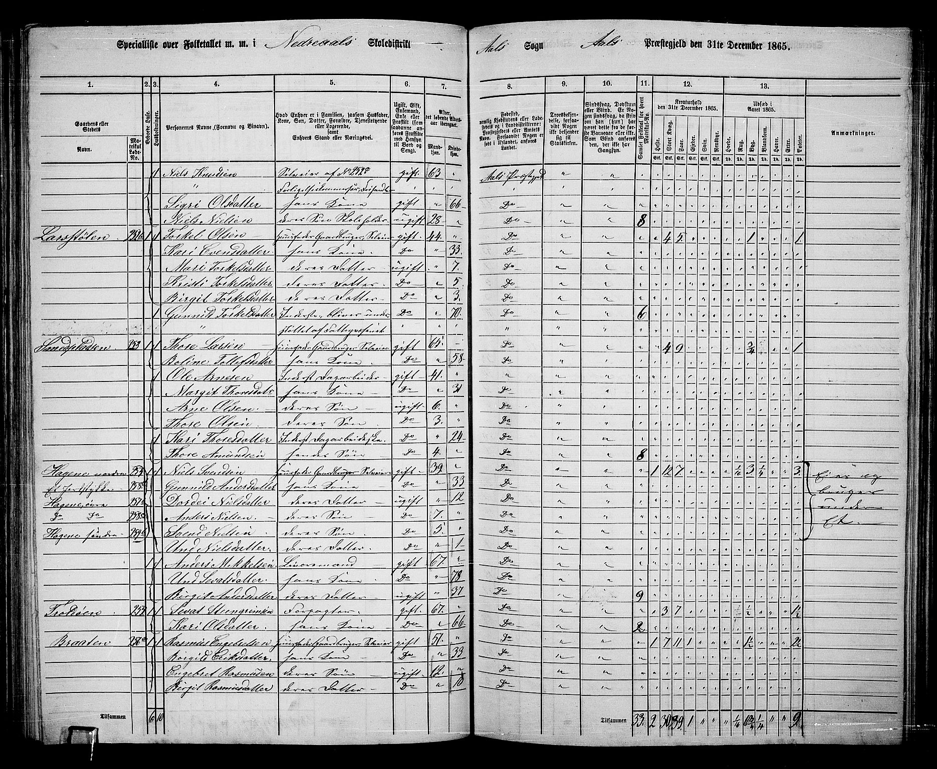 RA, 1865 census for Ål, 1865, p. 141