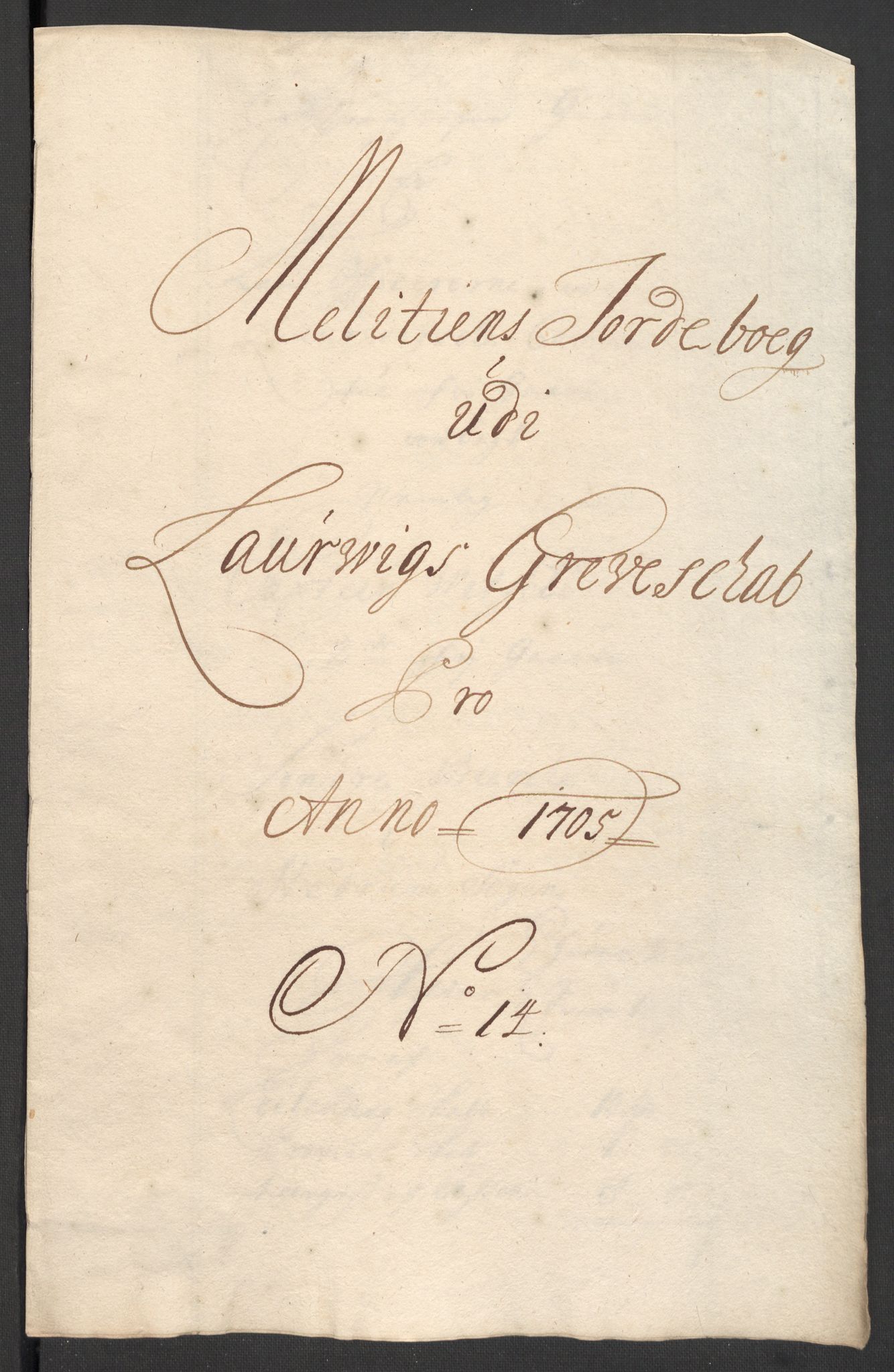 Rentekammeret inntil 1814, Reviderte regnskaper, Fogderegnskap, RA/EA-4092/R33/L1978: Fogderegnskap Larvik grevskap, 1704-1705, p. 417