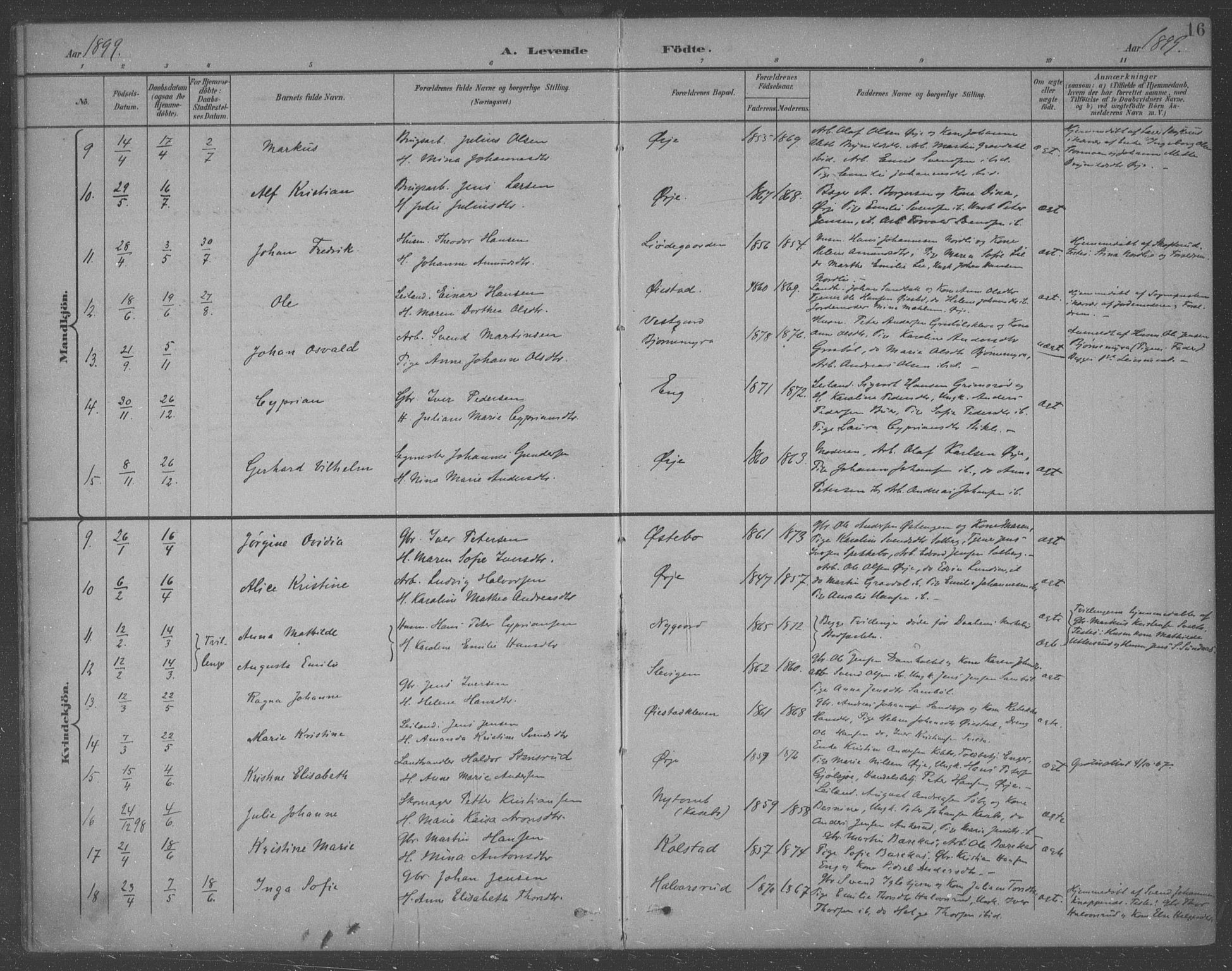 Aremark prestekontor Kirkebøker, AV/SAO-A-10899/F/Fb/L0005: Parish register (official) no. II 5, 1895-1919, p. 16