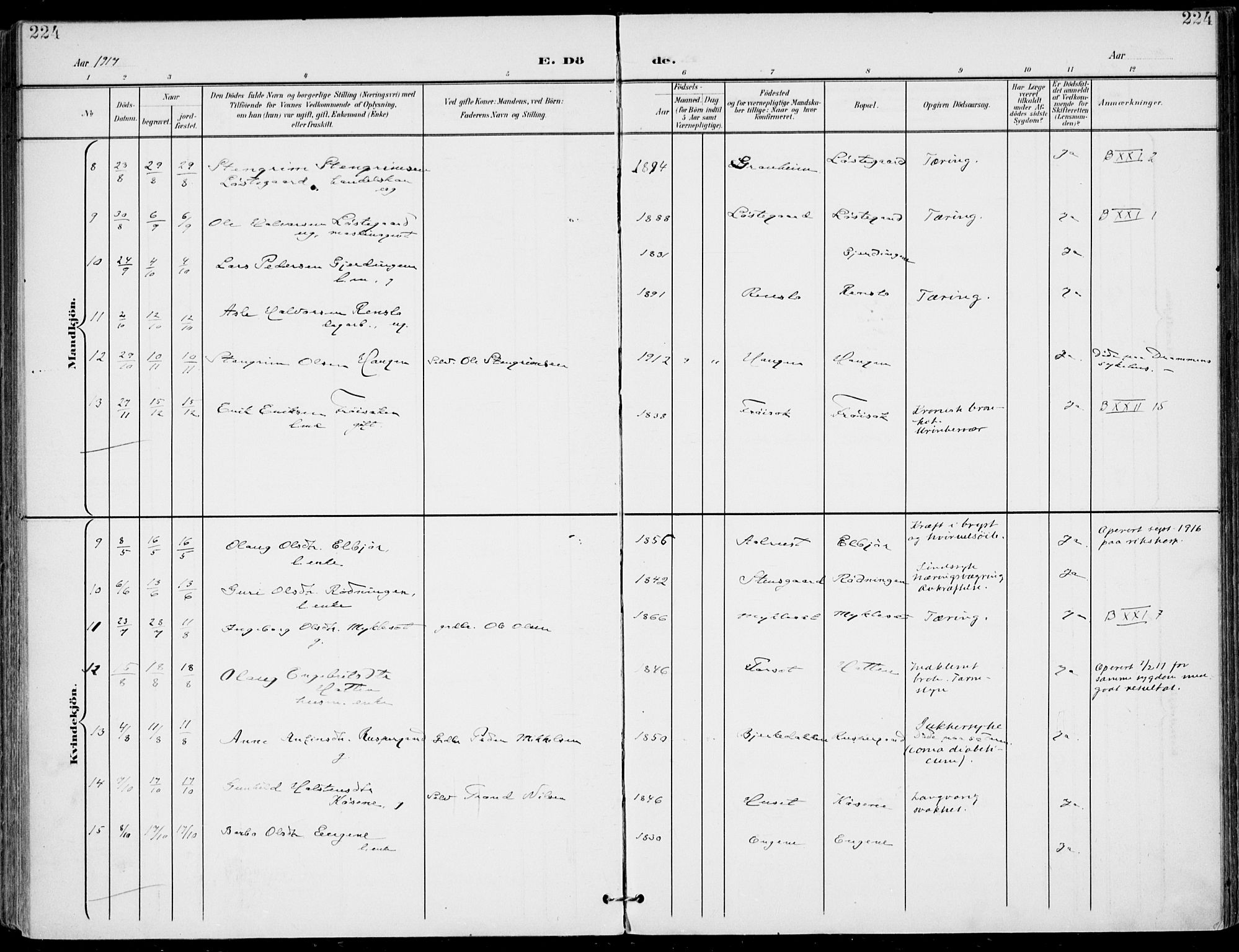 Gol kirkebøker, SAKO/A-226/F/Fa/L0006: Parish register (official) no. I 6, 1901-1918, p. 224