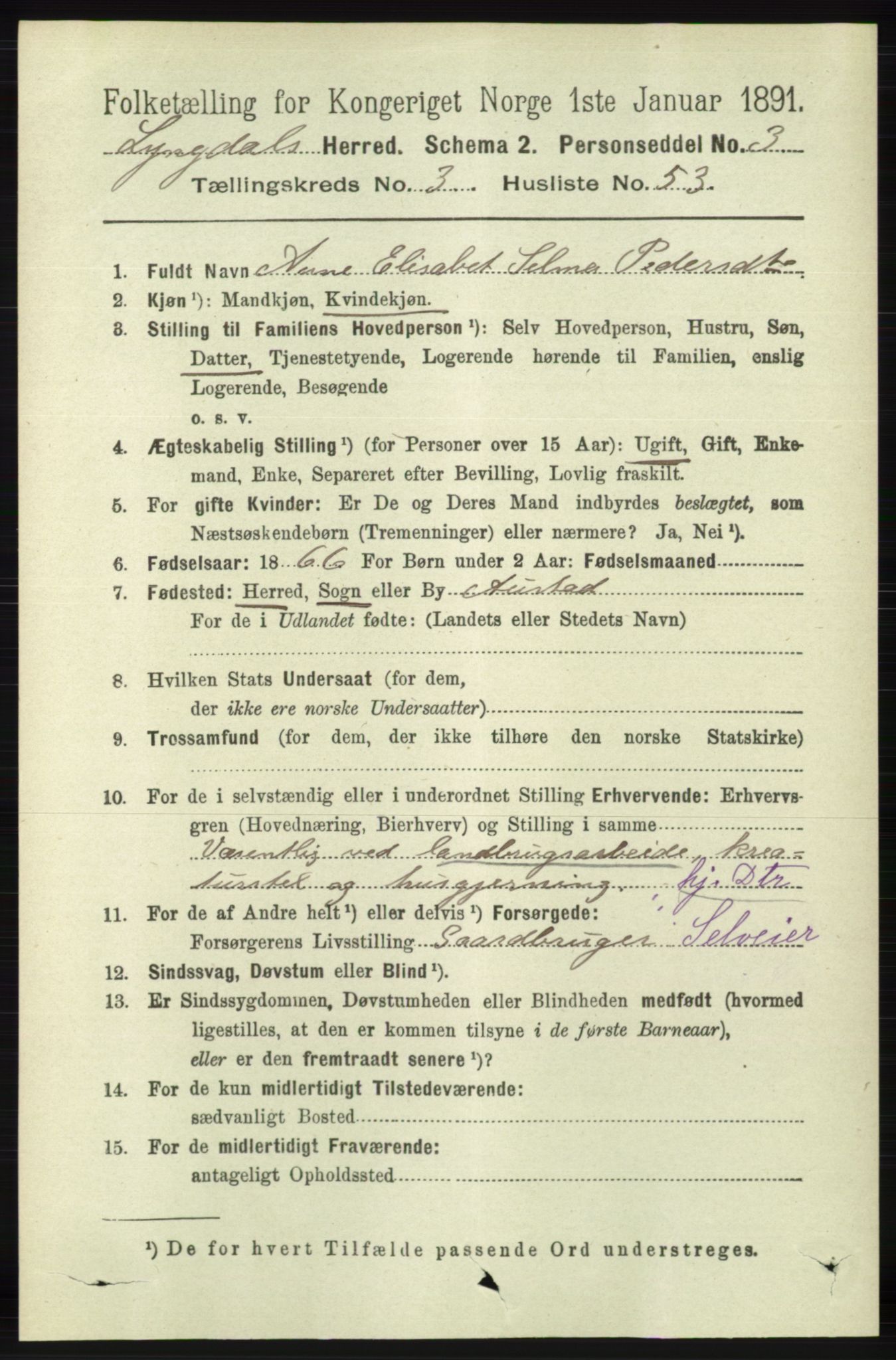 RA, 1891 census for 1032 Lyngdal, 1891, p. 1344