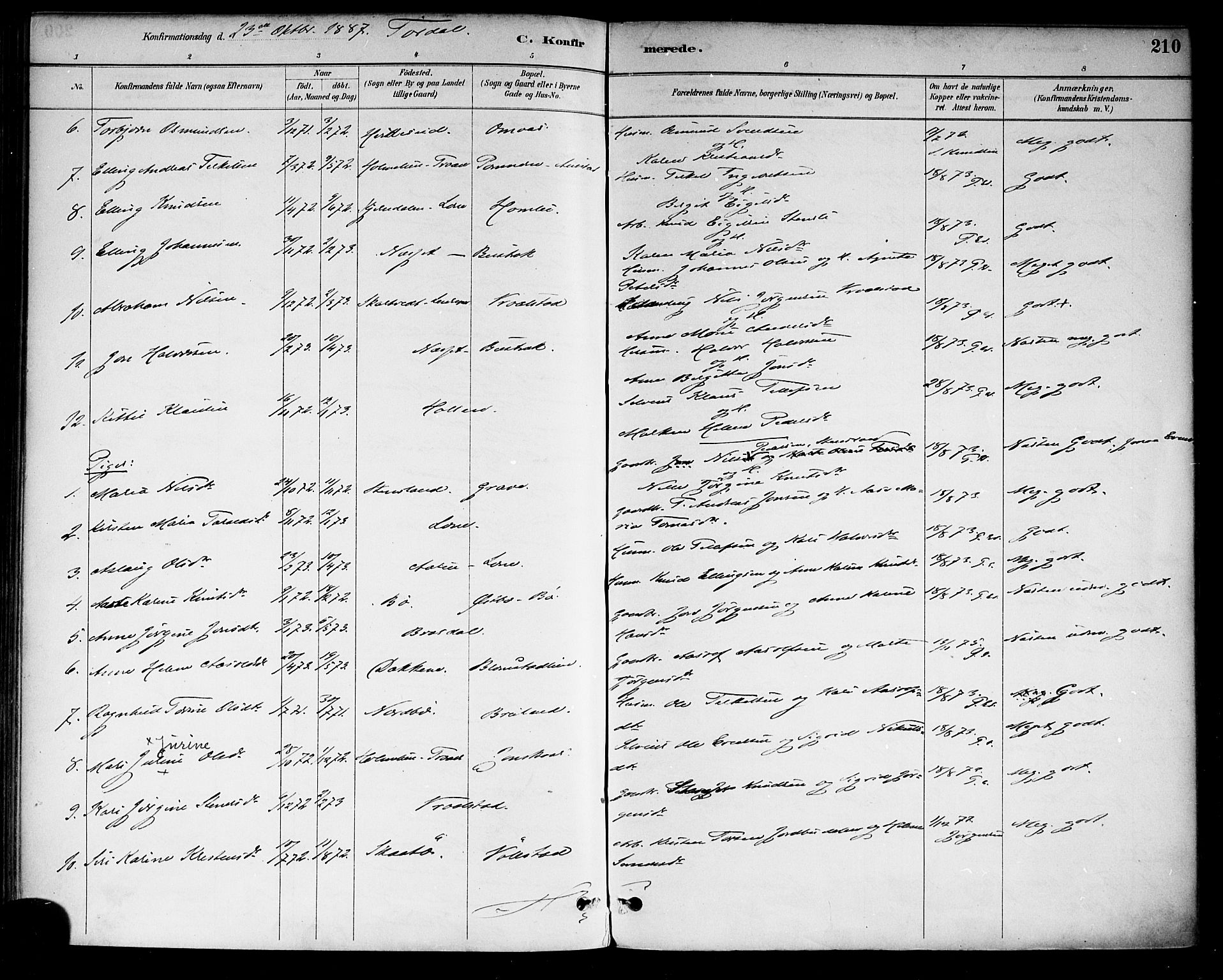 Drangedal kirkebøker, SAKO/A-258/F/Fa/L0010: Parish register (official) no. 10 /2, 1885-1894, p. 210