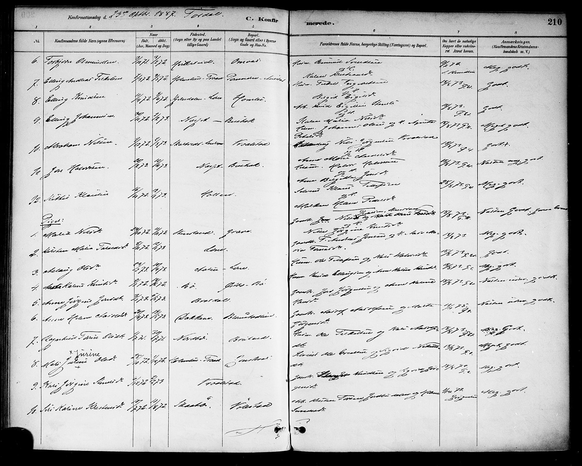 Drangedal kirkebøker, AV/SAKO-A-258/F/Fa/L0010: Parish register (official) no. 10 /2, 1885-1894, p. 210