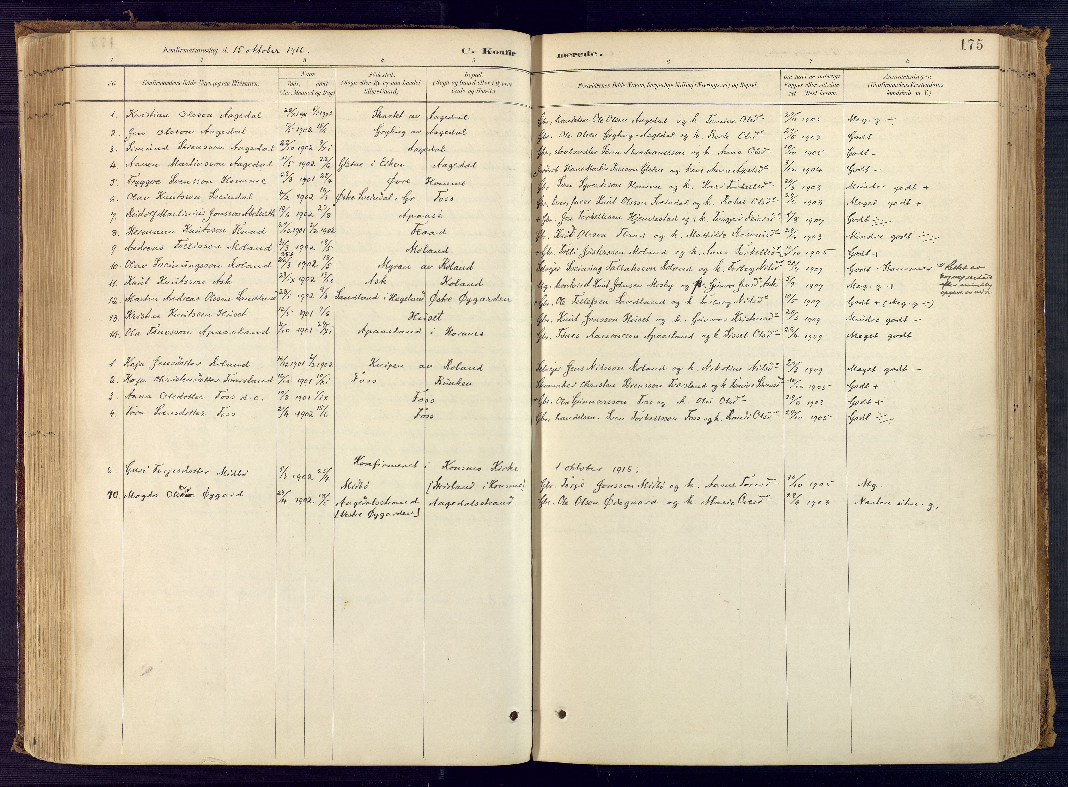 Bjelland sokneprestkontor, SAK/1111-0005/F/Fa/Faa/L0004: Parish register (official) no. A 4, 1887-1923, p. 175