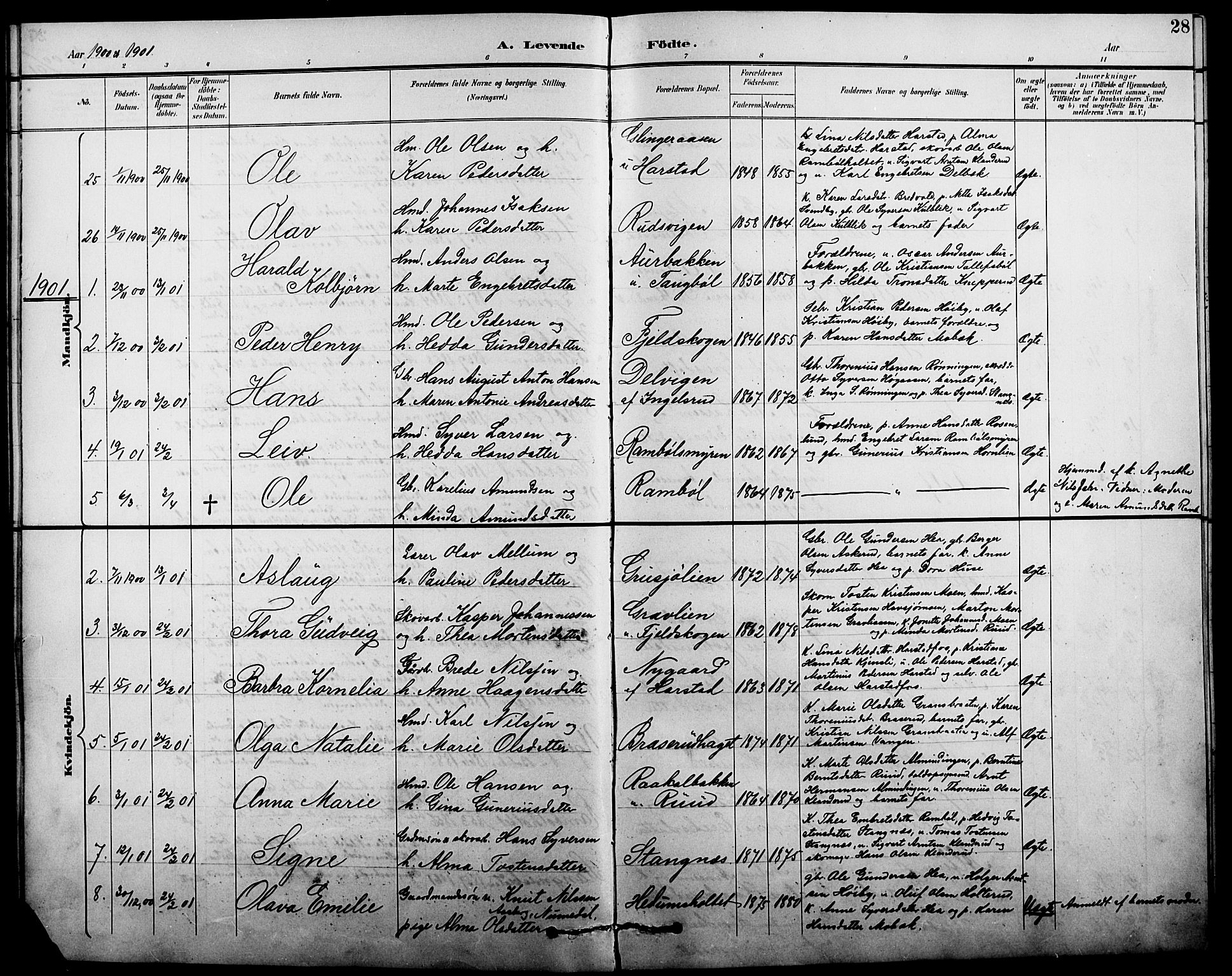 Eidskog prestekontor, AV/SAH-PREST-026/H/Ha/Hab/L0002: Parish register (copy) no. 2, 1895-1923, p. 28