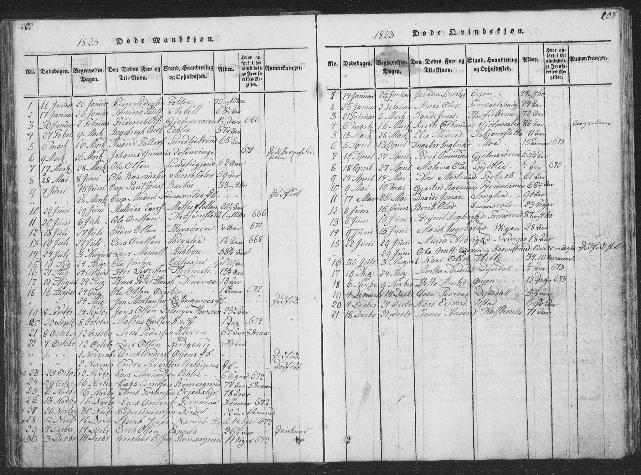 Ministerialprotokoller, klokkerbøker og fødselsregistre - Sør-Trøndelag, SAT/A-1456/668/L0816: Parish register (copy) no. 668C05, 1816-1893, p. 202-203