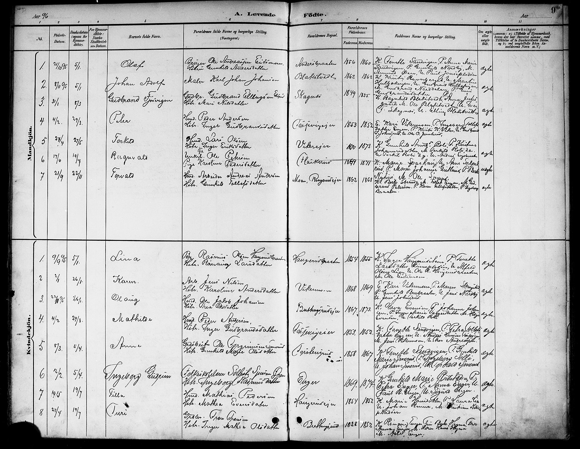 Ådal kirkebøker, AV/SAKO-A-248/G/Ga/L0004: Parish register (copy) no.  I 4, 1891-1920, p. 9