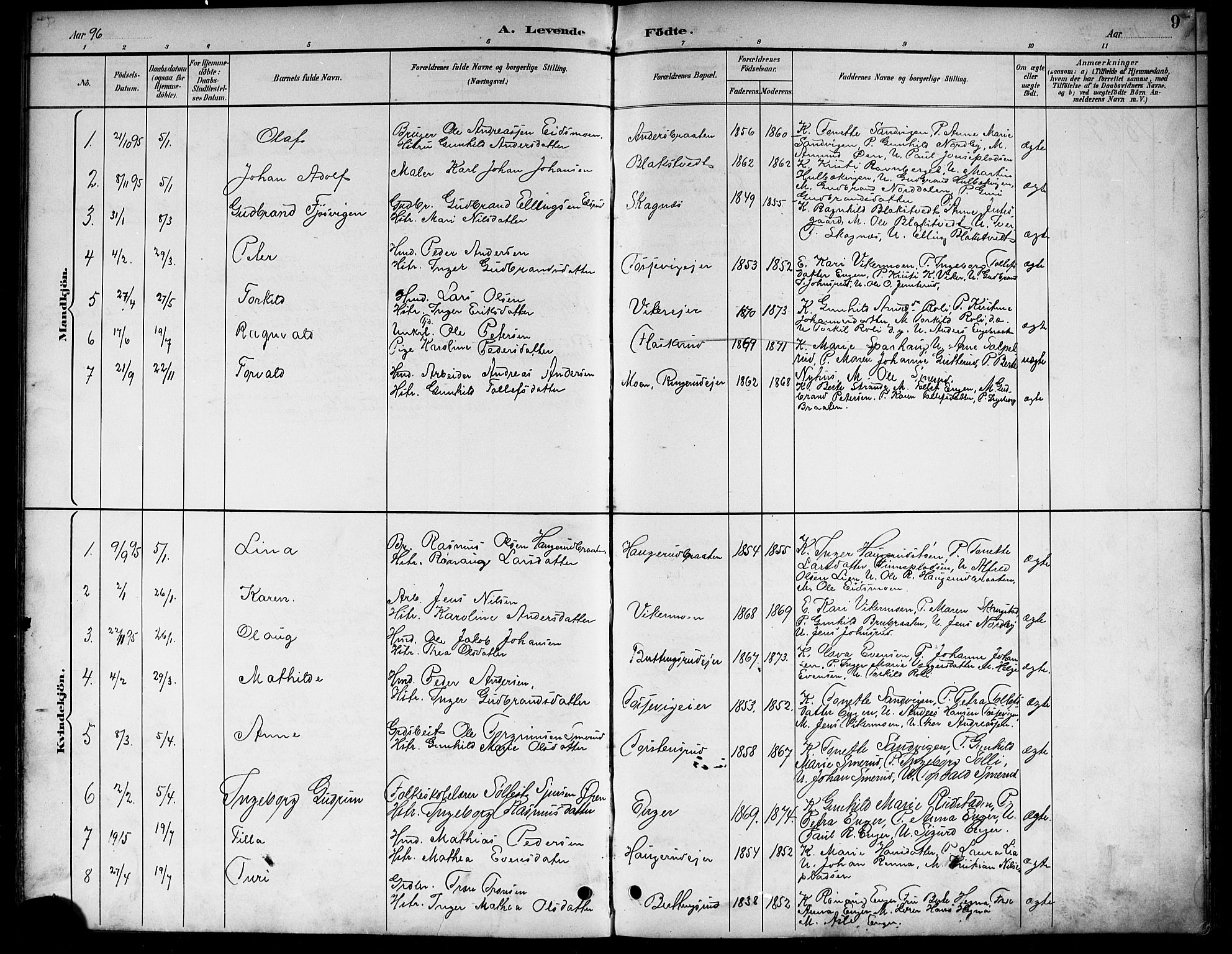 Ådal kirkebøker, AV/SAKO-A-248/G/Ga/L0004: Parish register (copy) no.  I 4, 1891-1920, p. 9