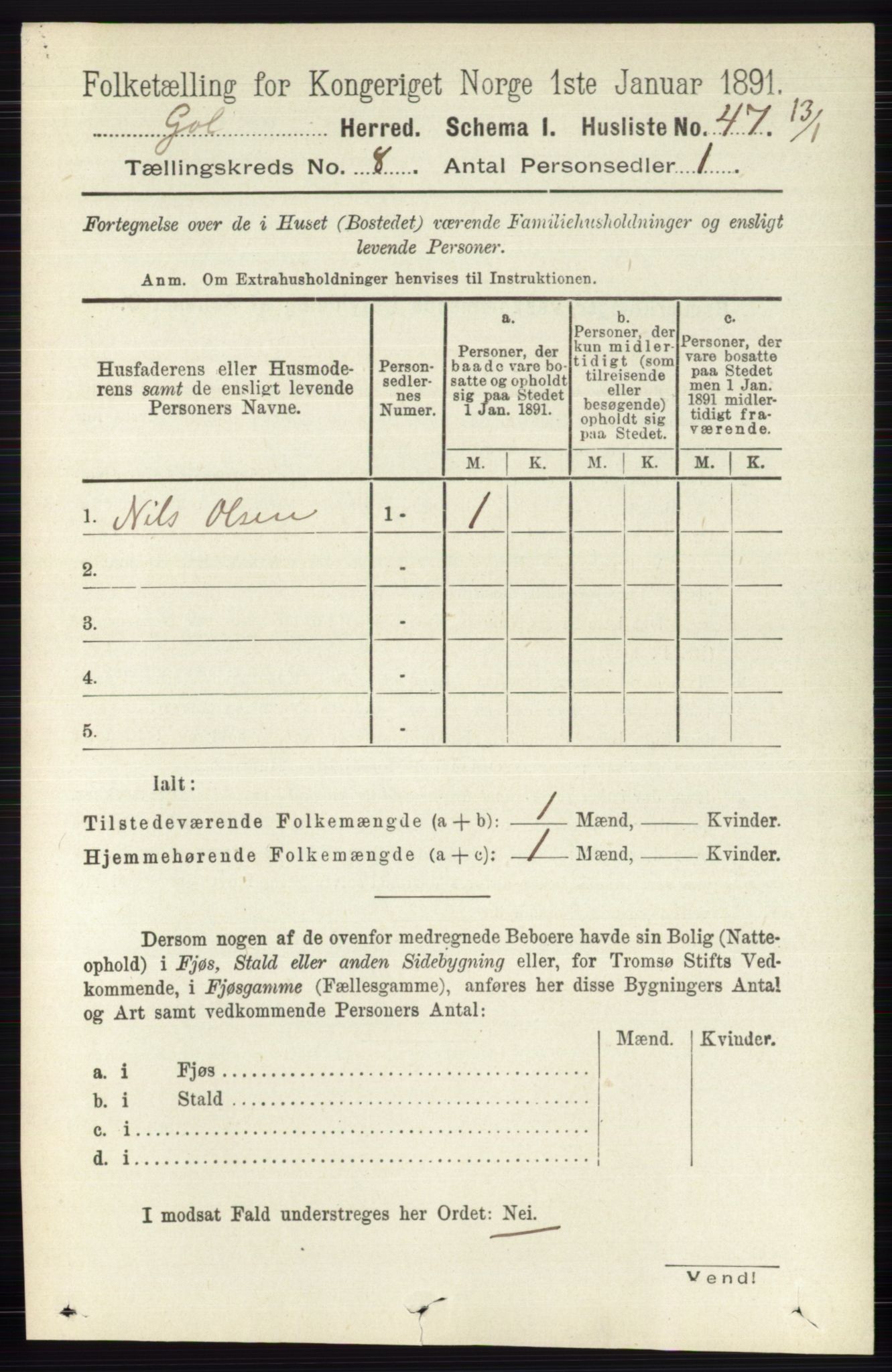 RA, 1891 census for 0617 Gol og Hemsedal, 1891, p. 3028