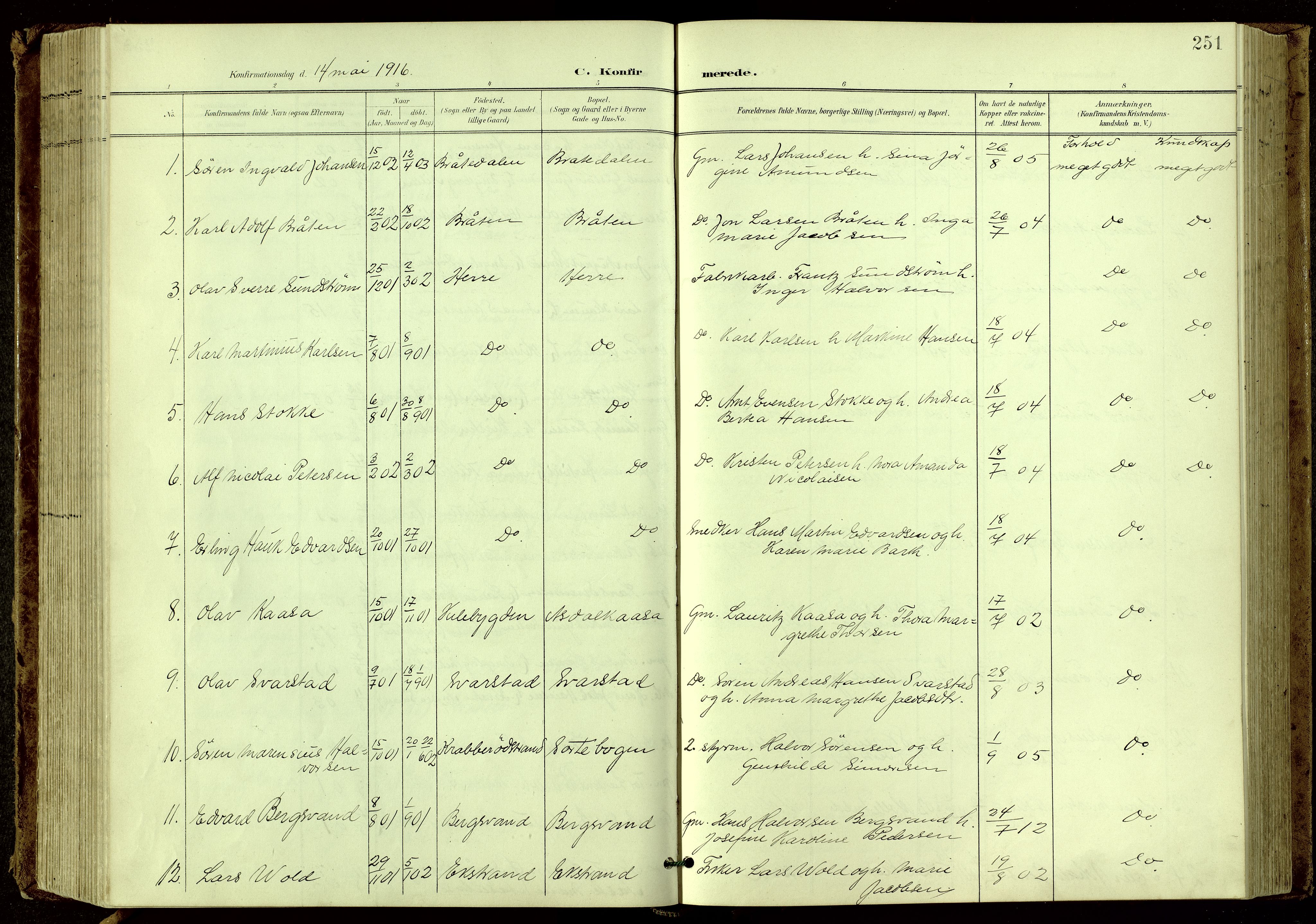 Bamble kirkebøker, SAKO/A-253/G/Ga/L0010: Parish register (copy) no. I 10, 1901-1919, p. 251