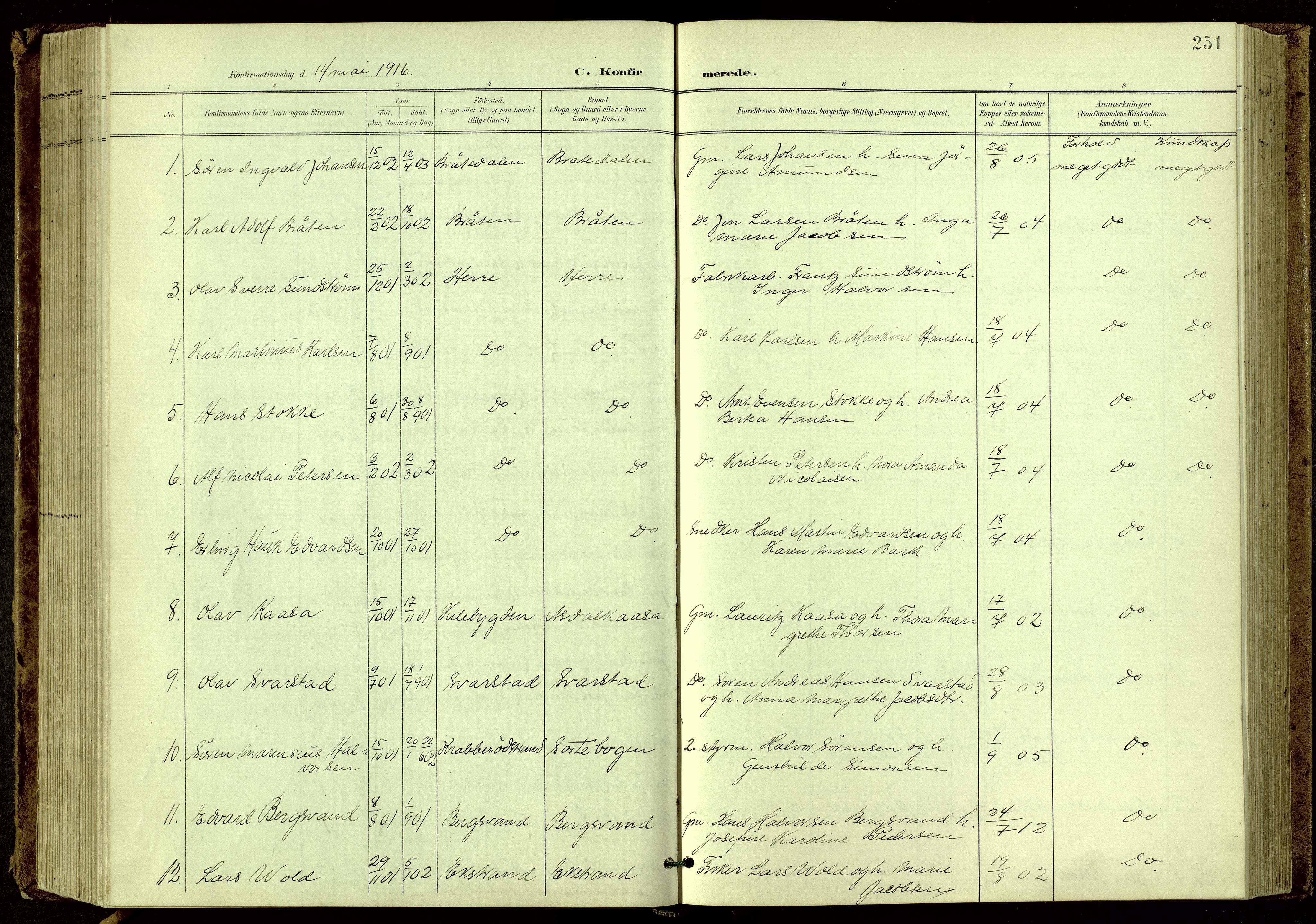Bamble kirkebøker, AV/SAKO-A-253/G/Ga/L0010: Parish register (copy) no. I 10, 1901-1919, p. 251