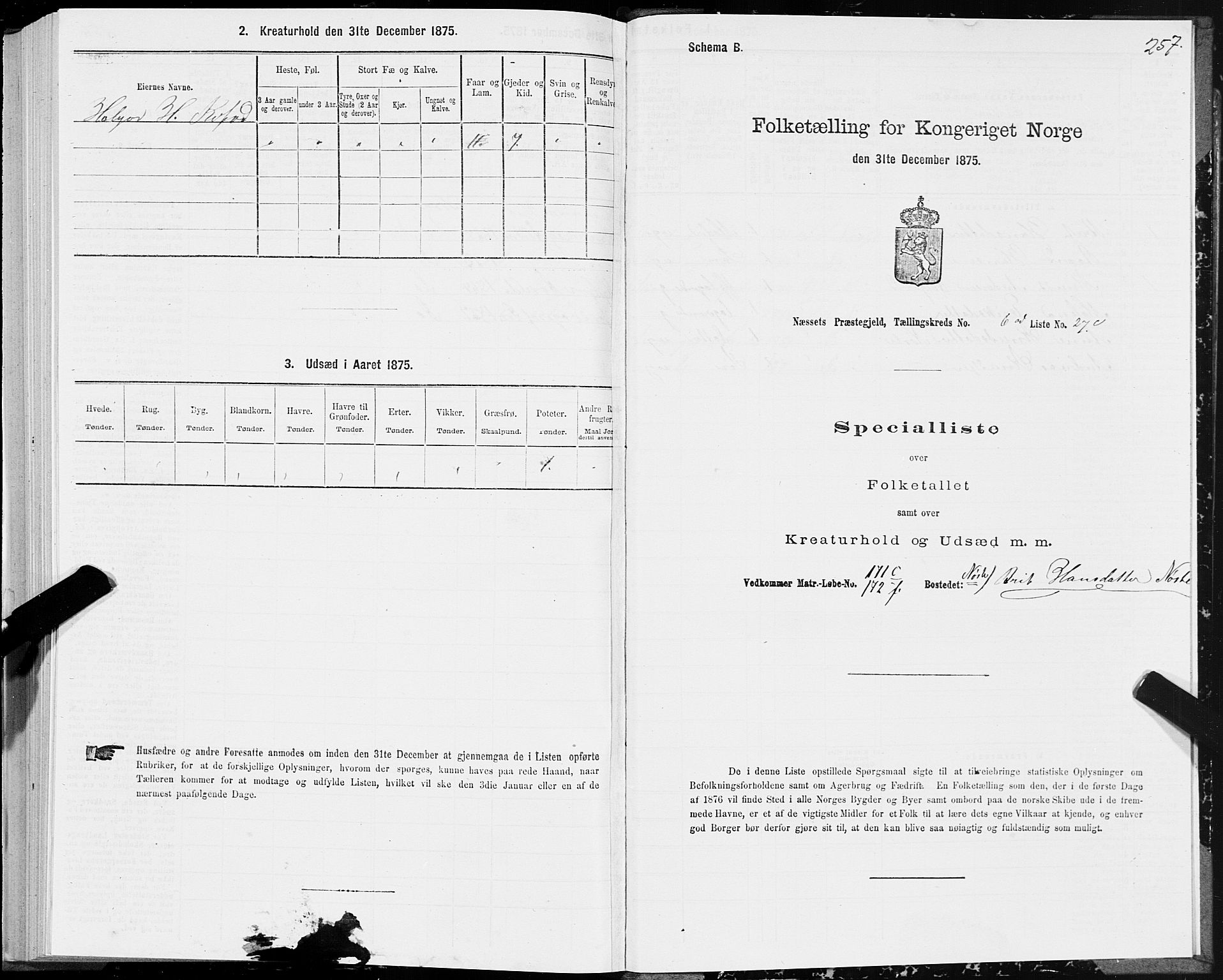 SAT, 1875 census for 1543P Nesset, 1875, p. 3257