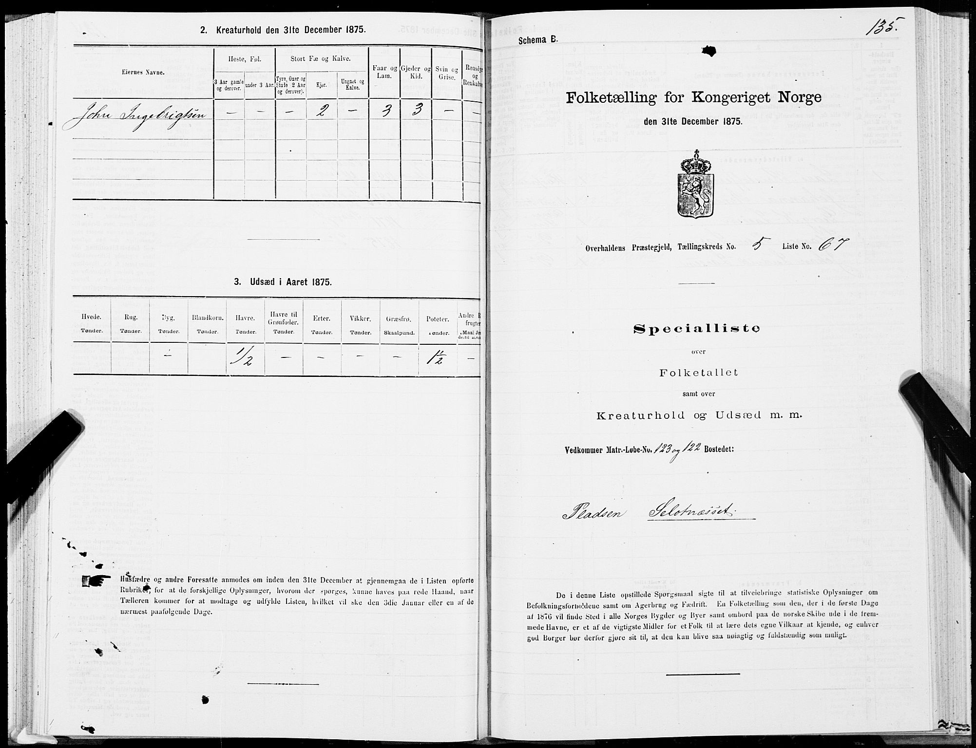 SAT, 1875 census for 1744P Overhalla, 1875, p. 3135