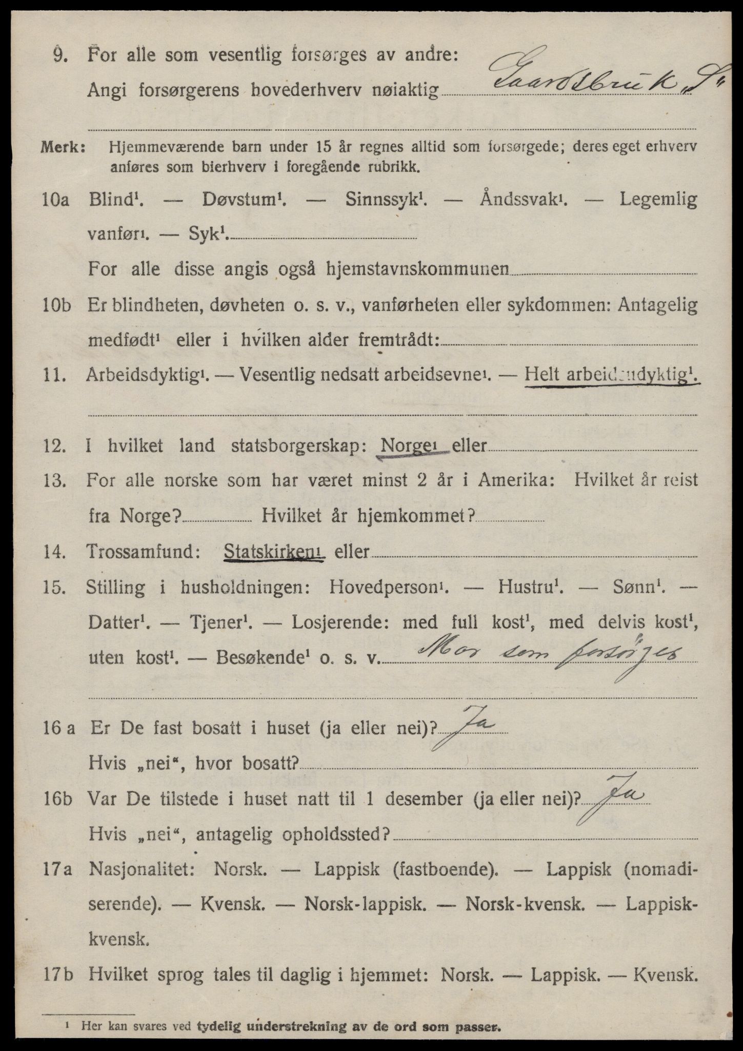 SAT, 1920 census for Hemne, 1920, p. 7053