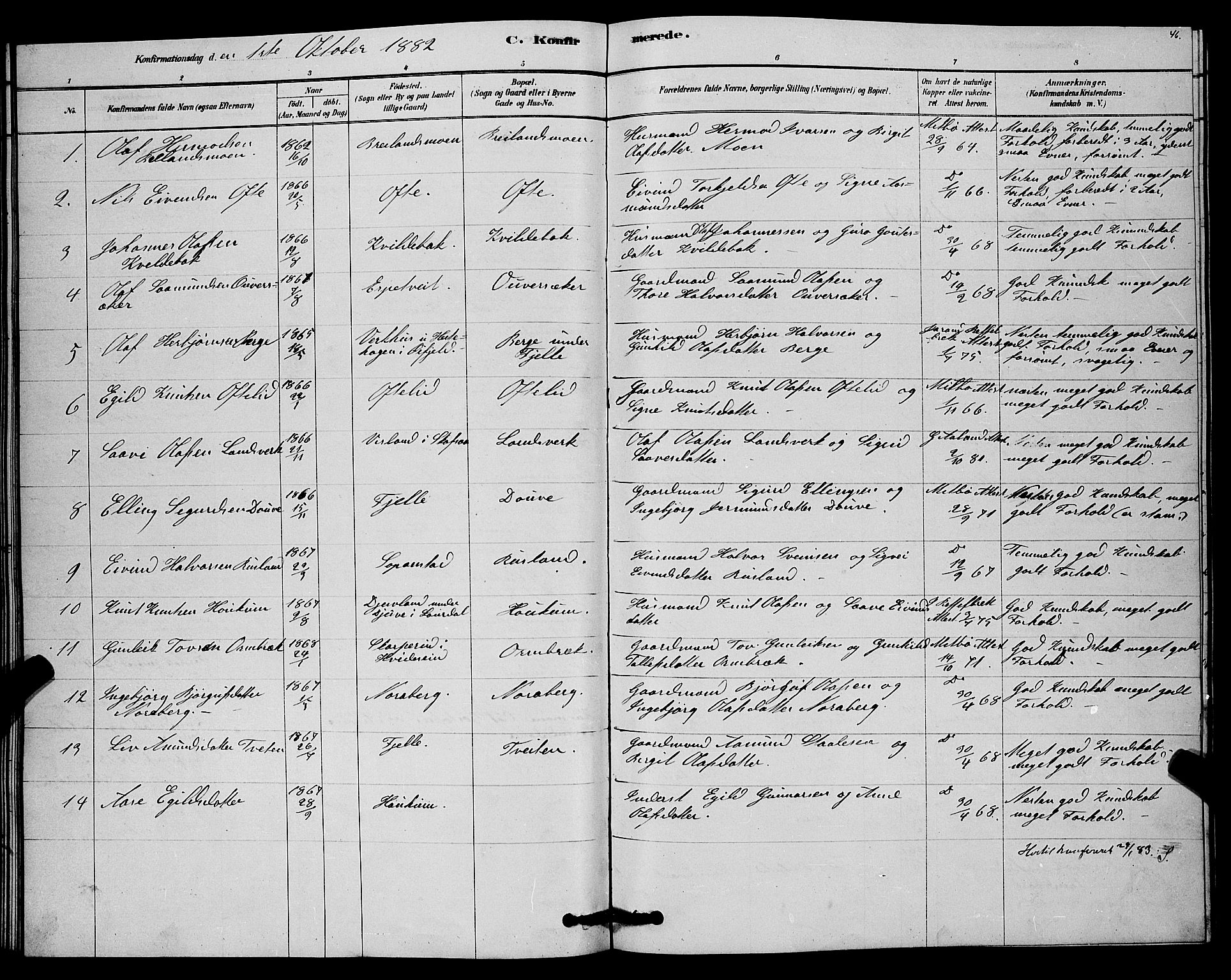 Lårdal kirkebøker, SAKO/A-284/G/Gc/L0003: Parish register (copy) no. III 3, 1878-1890, p. 46