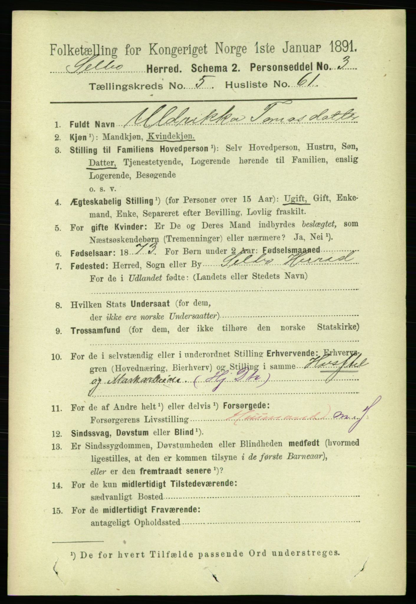 RA, 1891 census for 1664 Selbu, 1891, p. 2052