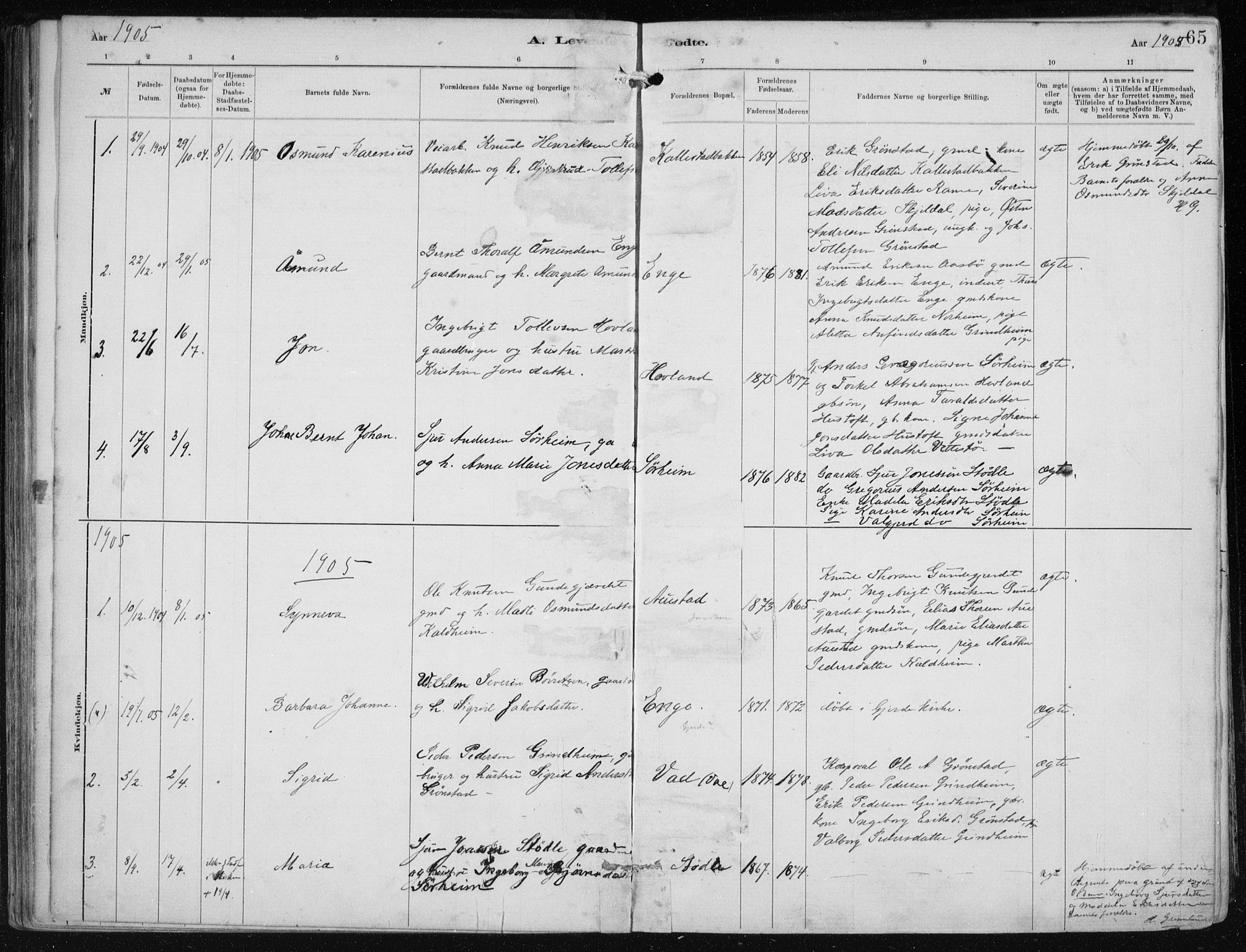 Etne sokneprestembete, SAB/A-75001/H/Haa: Parish register (official) no. B  1, 1879-1919, p. 65