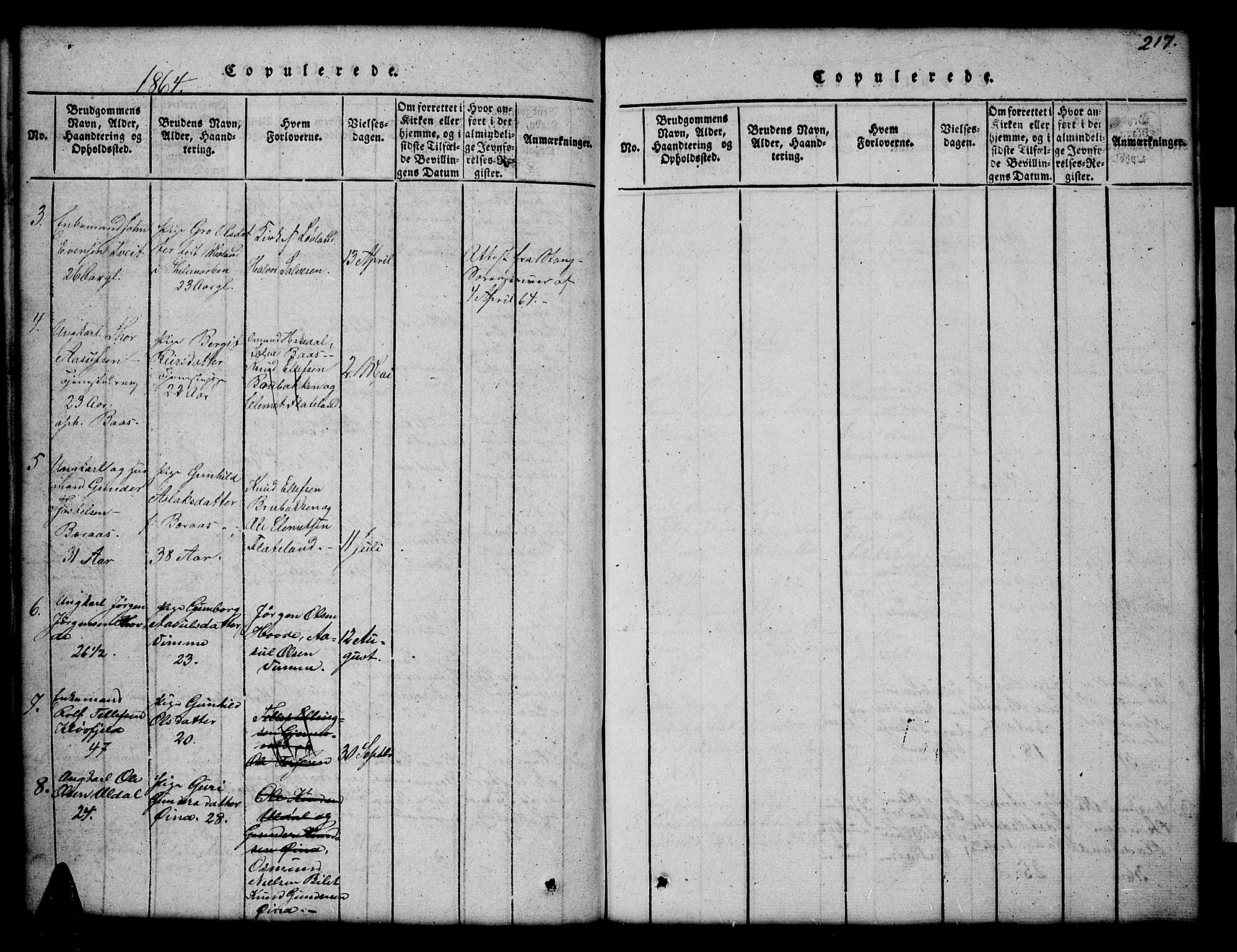 Åmli sokneprestkontor, AV/SAK-1111-0050/F/Fb/Fbc/L0001: Parish register (copy) no. B 1, 1816-1867, p. 217