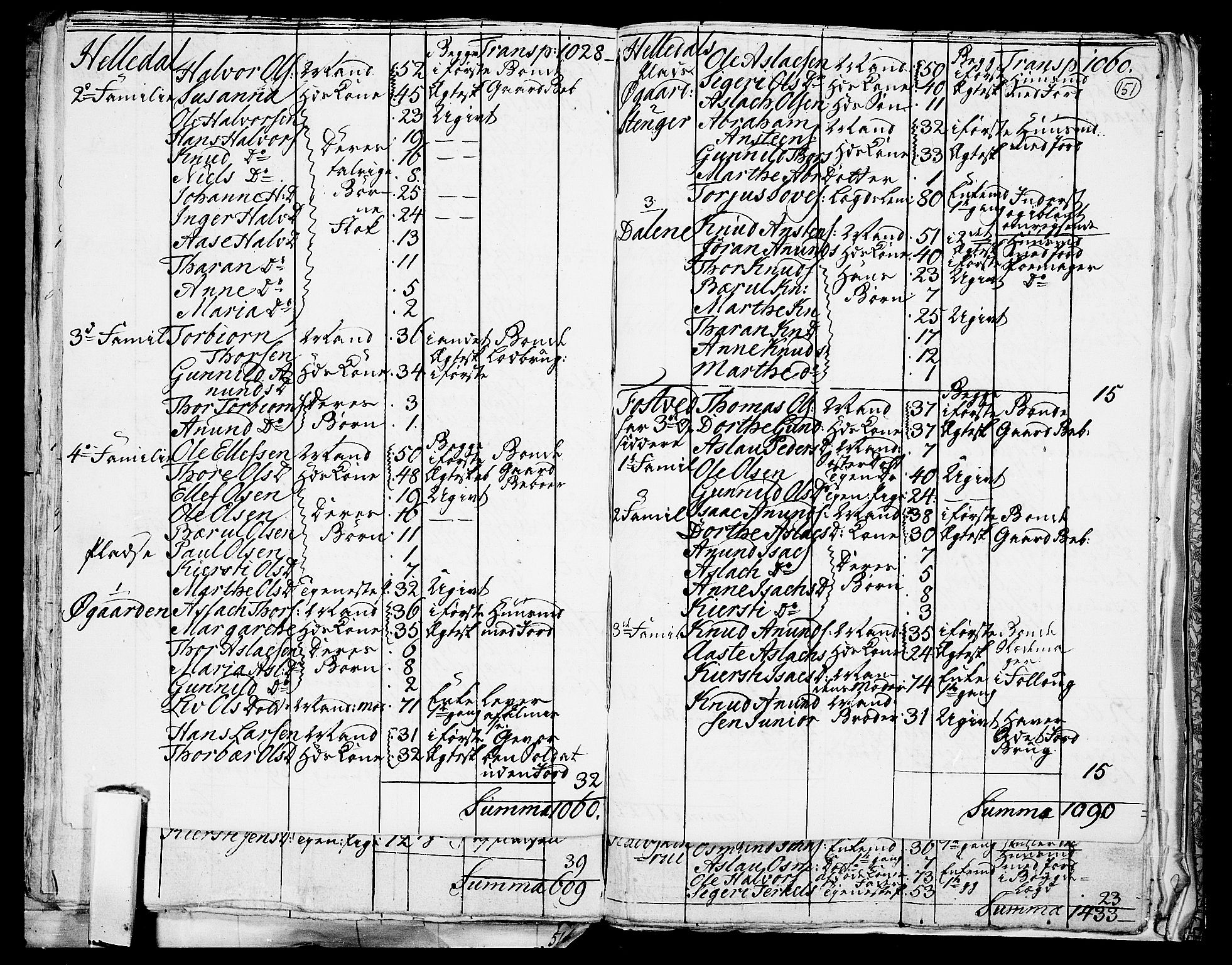 RA, 1801 census for 0817P Drangedal, 1801, p. 150b-151a