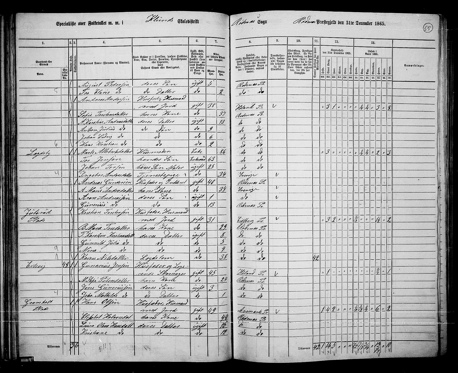 RA, 1865 census for Rødenes, 1865, p. 51