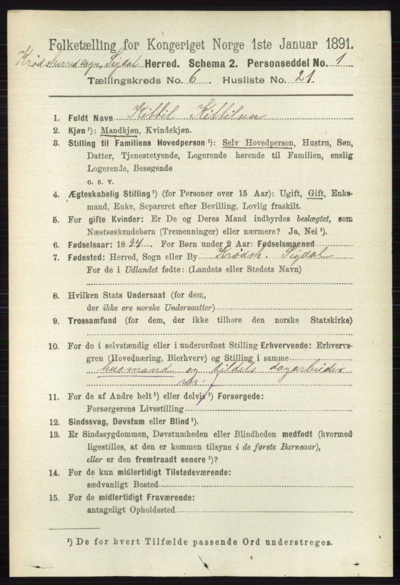 RA, 1891 census for 0621 Sigdal, 1891, p. 6769