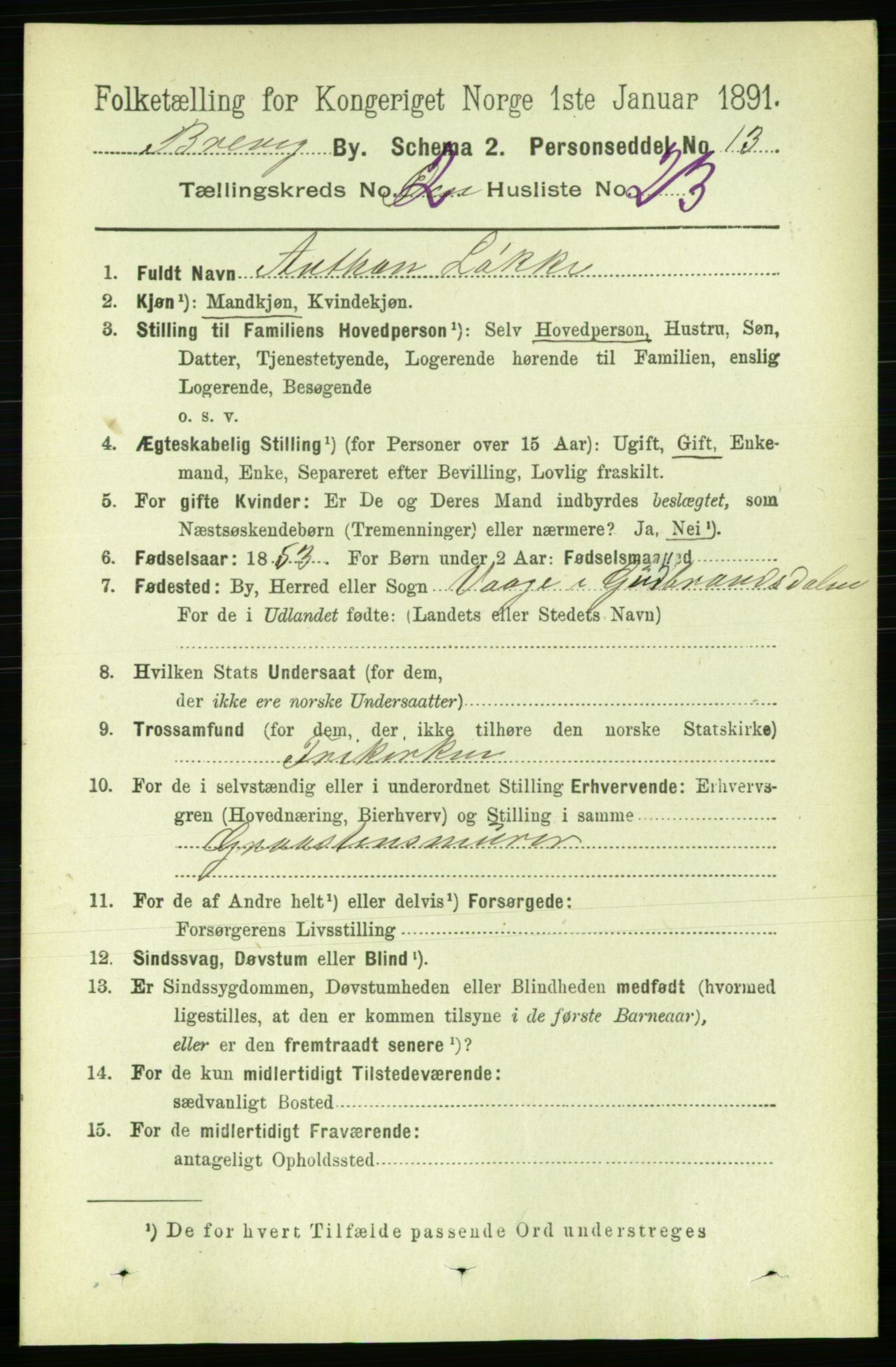 RA, 1891 census for 0804 Brevik, 1891, p. 1752