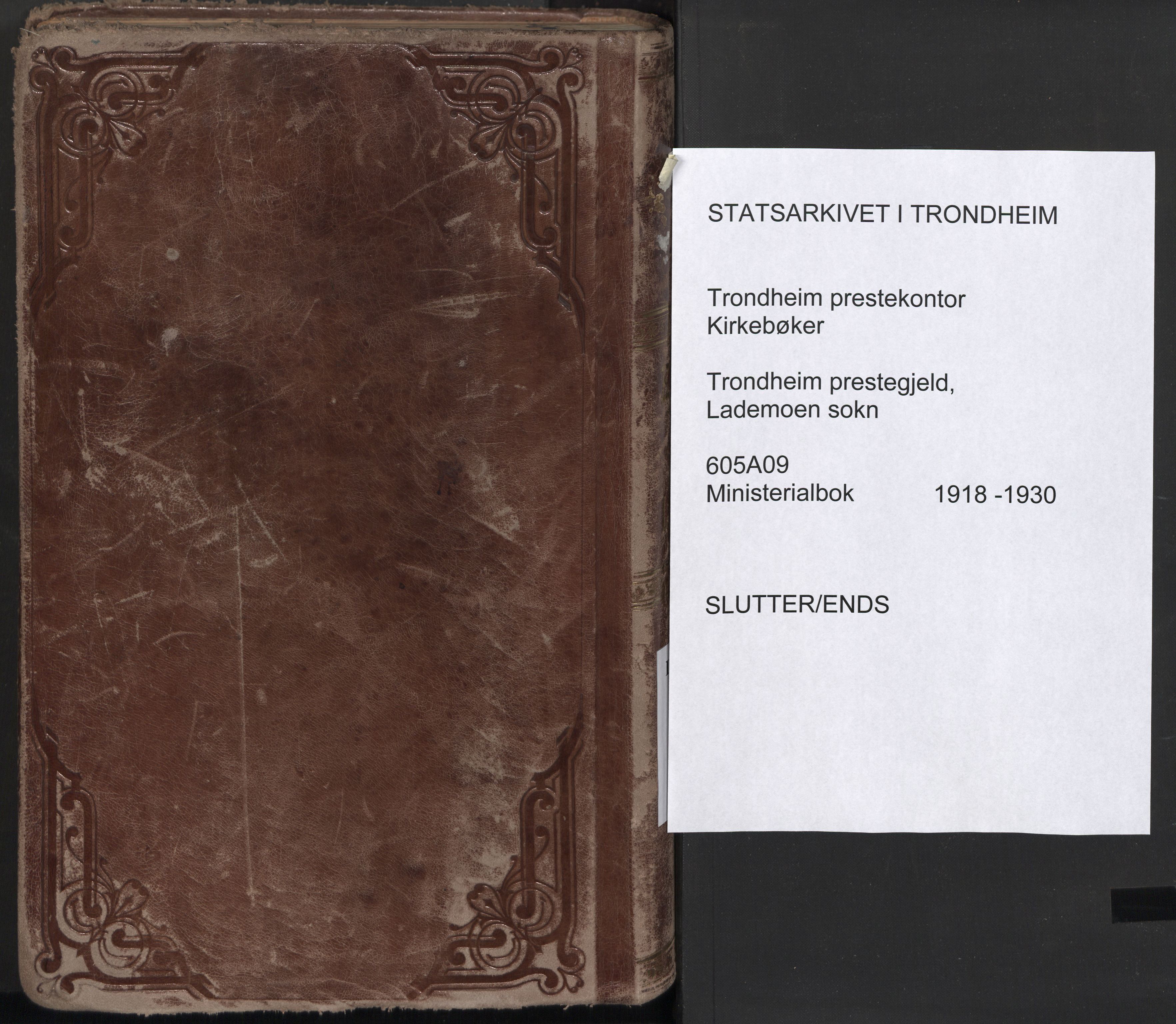 Ministerialprotokoller, klokkerbøker og fødselsregistre - Sør-Trøndelag, SAT/A-1456/605/L0247: Parish register (official) no. 605A09, 1918-1930