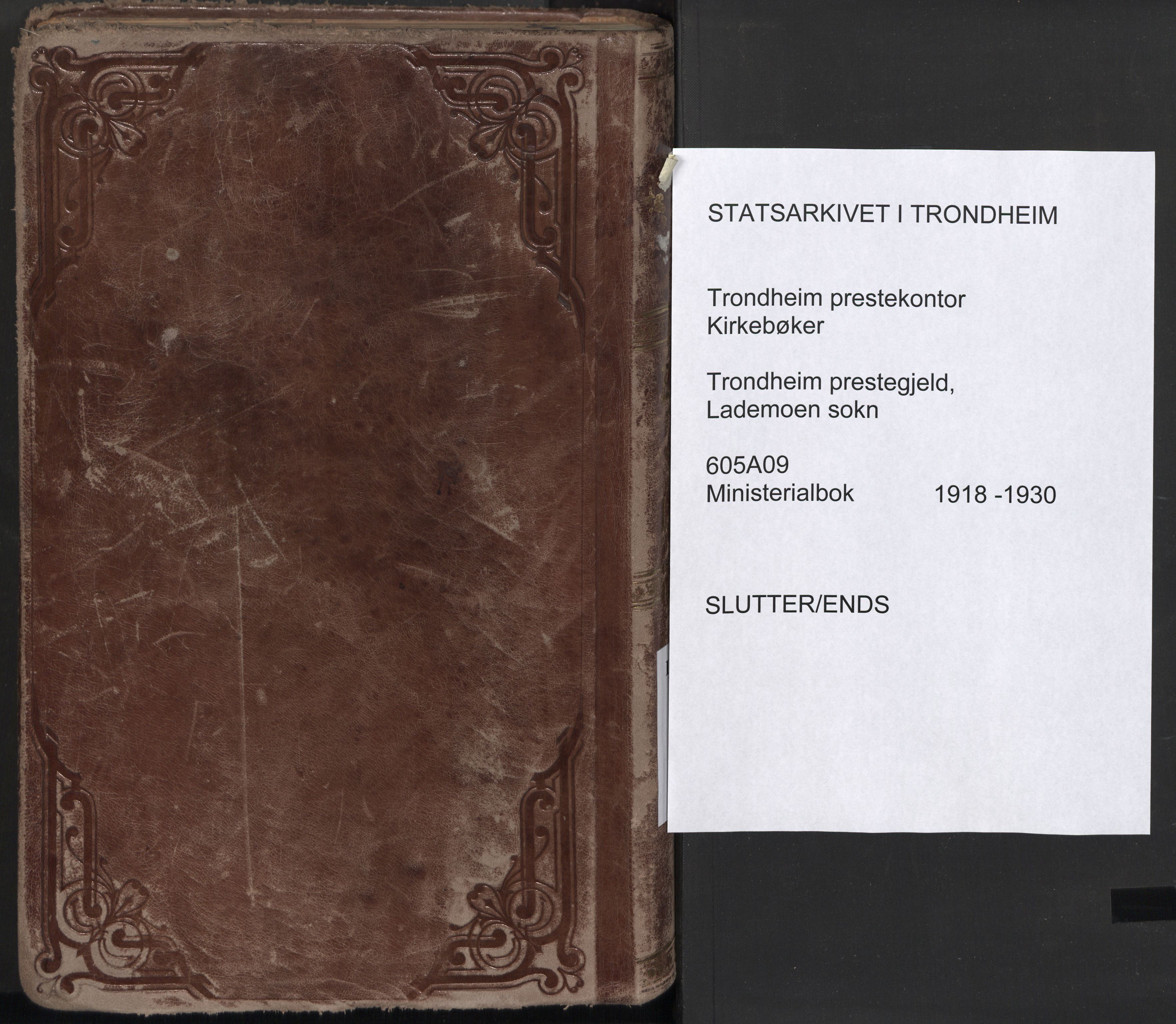 Ministerialprotokoller, klokkerbøker og fødselsregistre - Sør-Trøndelag, AV/SAT-A-1456/605/L0247: Parish register (official) no. 605A09, 1918-1930