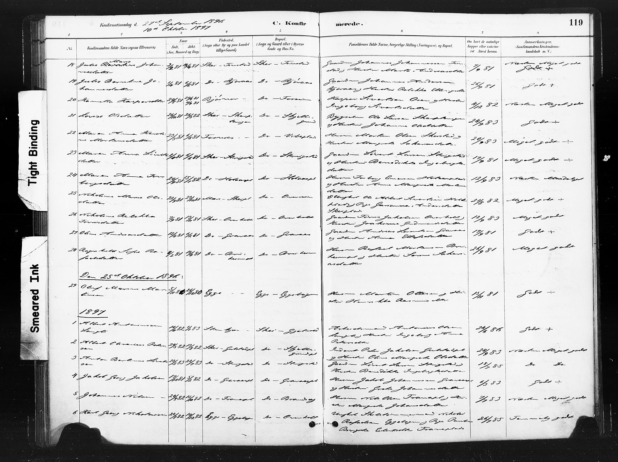 Ministerialprotokoller, klokkerbøker og fødselsregistre - Nord-Trøndelag, SAT/A-1458/736/L0361: Parish register (official) no. 736A01, 1884-1906, p. 119