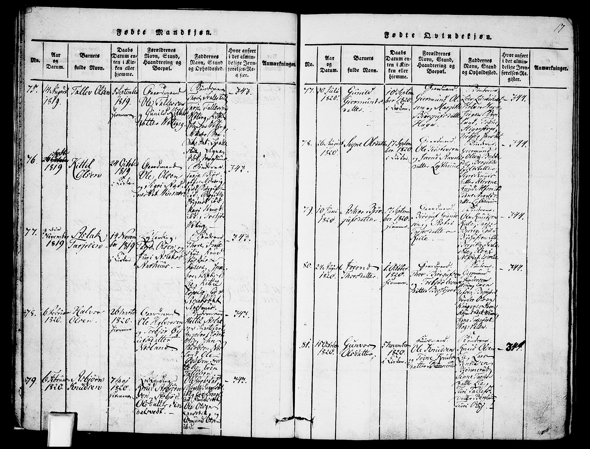 Fyresdal kirkebøker, AV/SAKO-A-263/F/Fa/L0003: Parish register (official) no. I 3, 1815-1840, p. 17