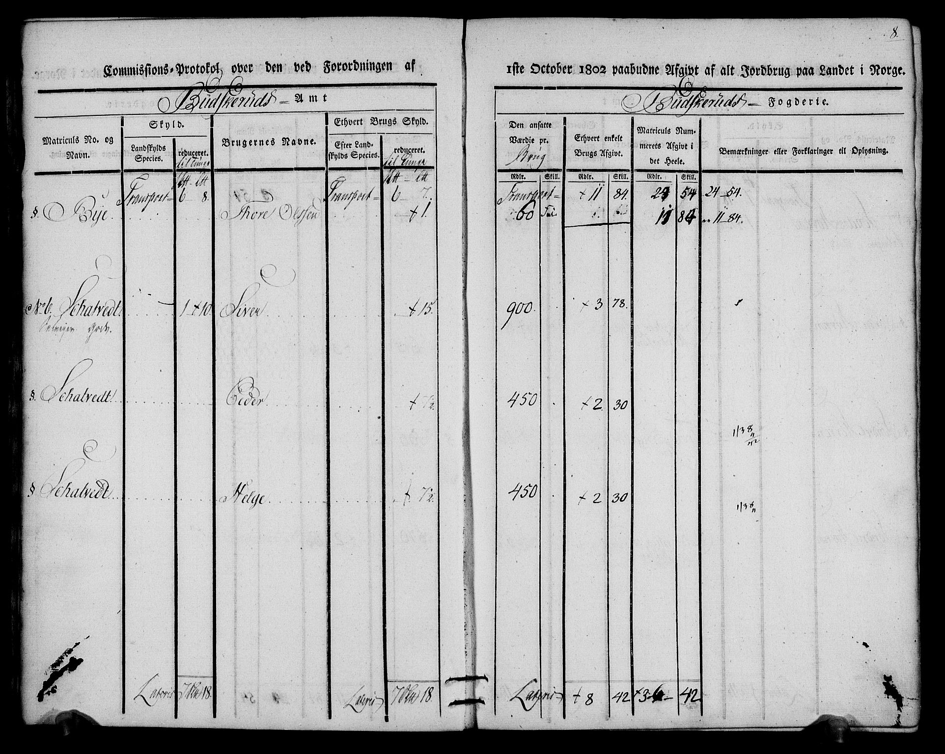 Rentekammeret inntil 1814, Realistisk ordnet avdeling, RA/EA-4070/N/Ne/Nea/L0060: Buskerud fogderi. Kommisjonsprotokoll for Sigdal prestegjeld, 1803, p. 8