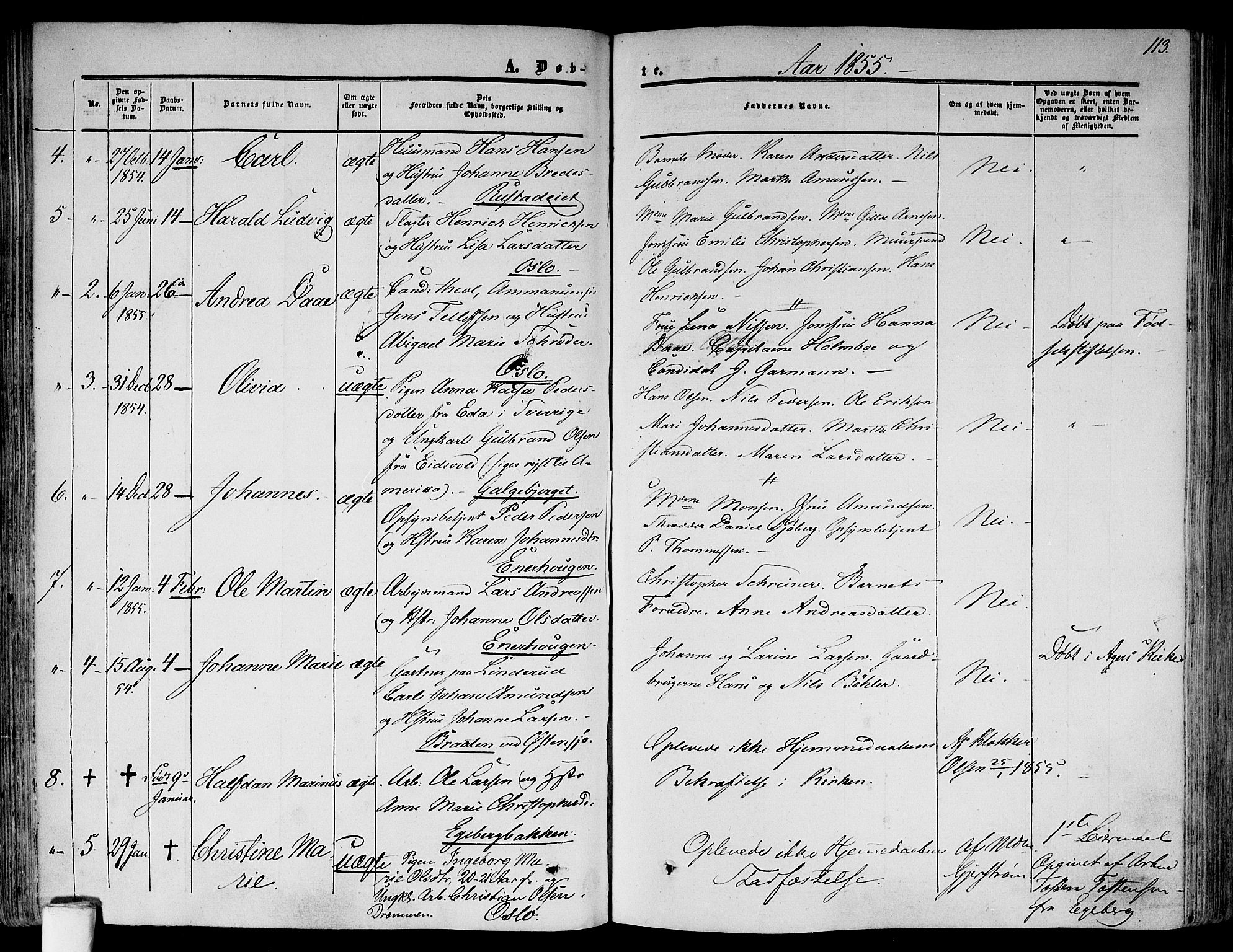 Gamlebyen prestekontor Kirkebøker, SAO/A-10884/F/Fa/L0004: Parish register (official) no. 4, 1850-1857, p. 113