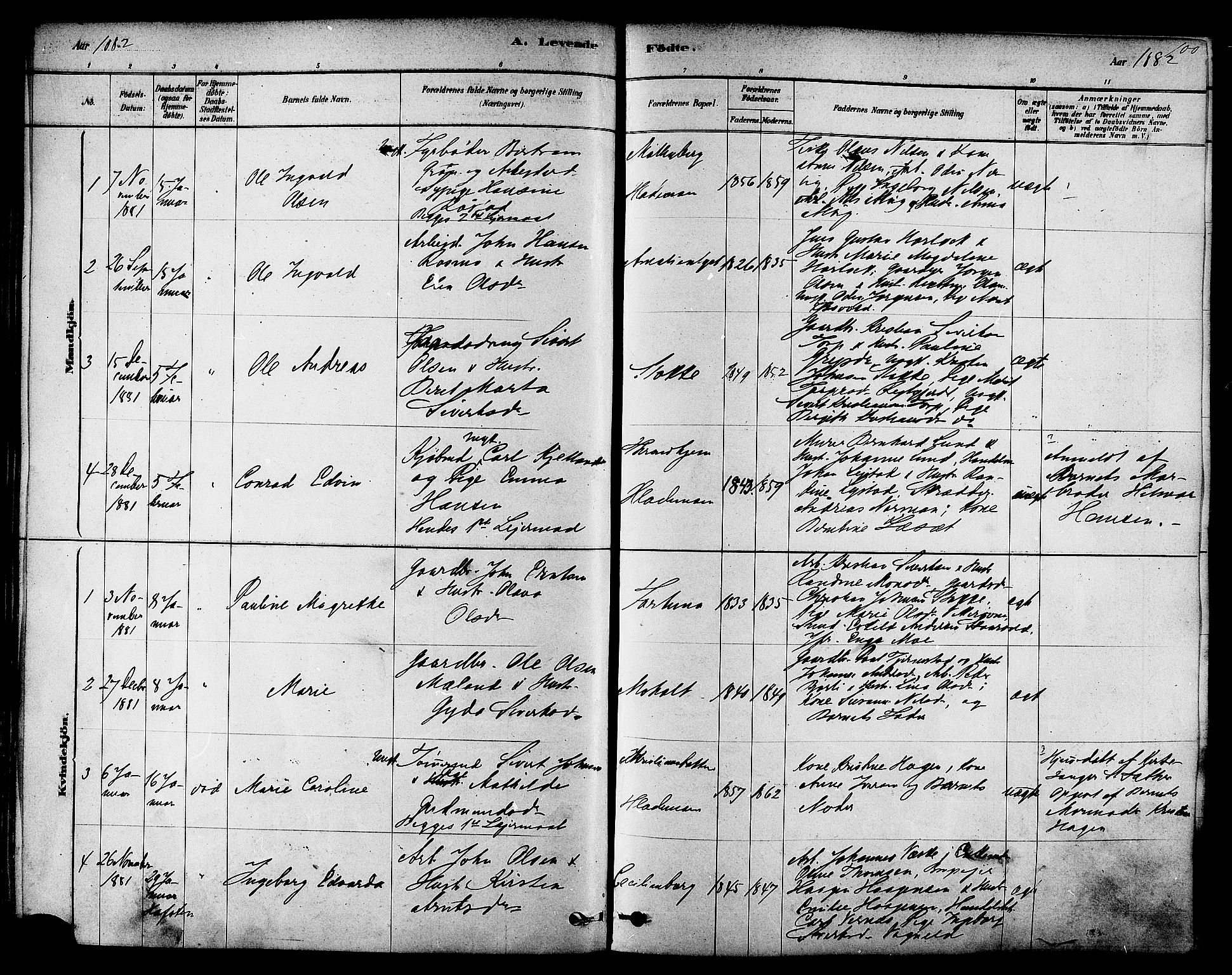 Ministerialprotokoller, klokkerbøker og fødselsregistre - Sør-Trøndelag, SAT/A-1456/606/L0294: Parish register (official) no. 606A09, 1878-1886, p. 100