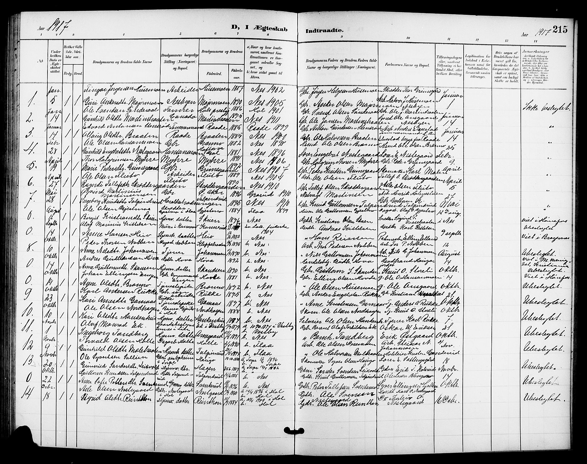 Nes kirkebøker, SAKO/A-236/G/Ga/L0004: Parish register (copy) no. I 4, 1900-1925, p. 215