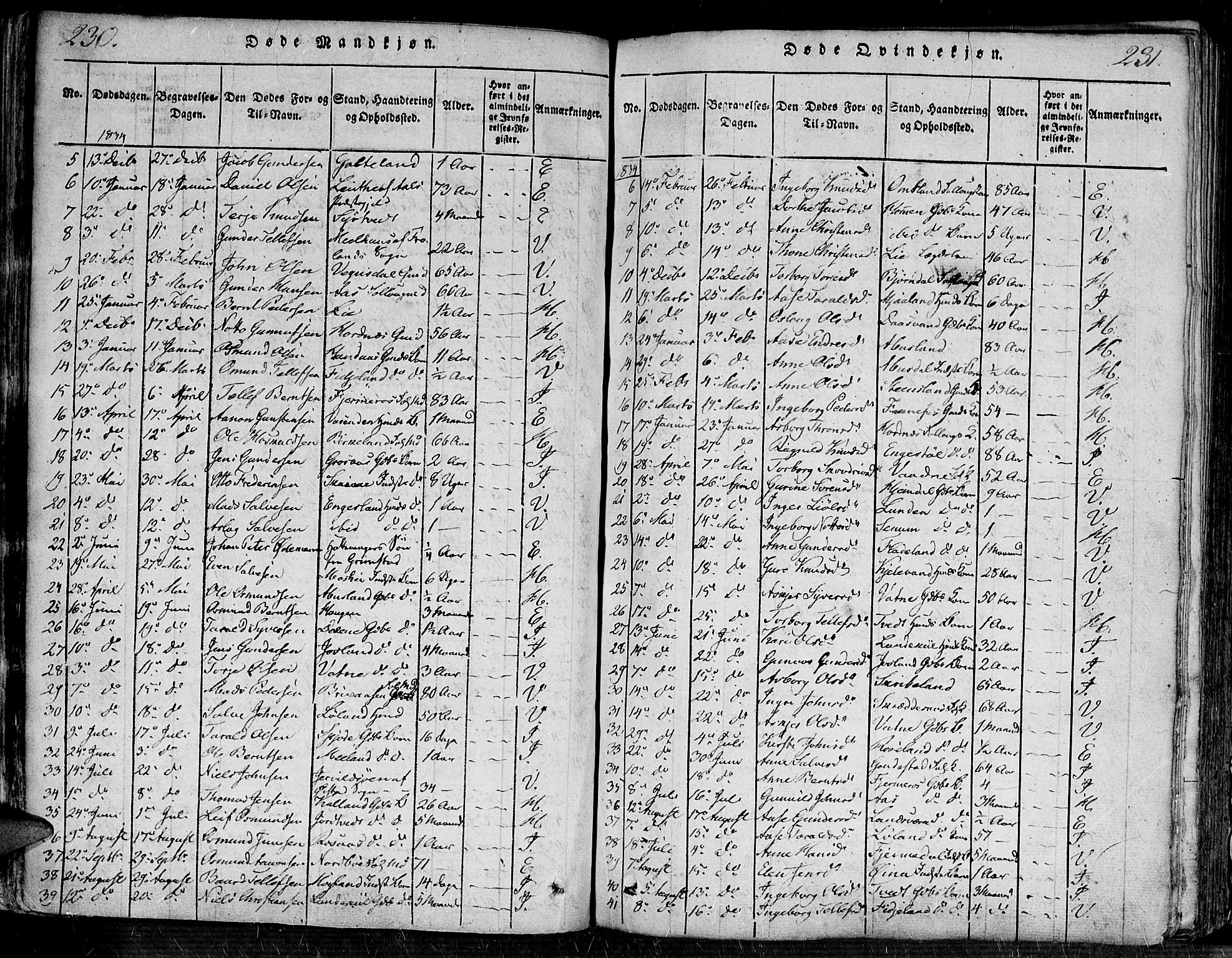 Evje sokneprestkontor, SAK/1111-0008/F/Fa/Faa/L0004: Parish register (official) no. A 4, 1816-1840, p. 230-231