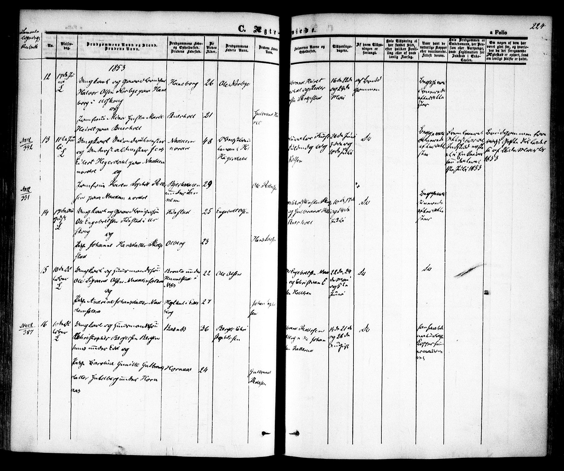 Høland prestekontor Kirkebøker, AV/SAO-A-10346a/F/Fa/L0009: Parish register (official) no. I 9, 1846-1853, p. 224