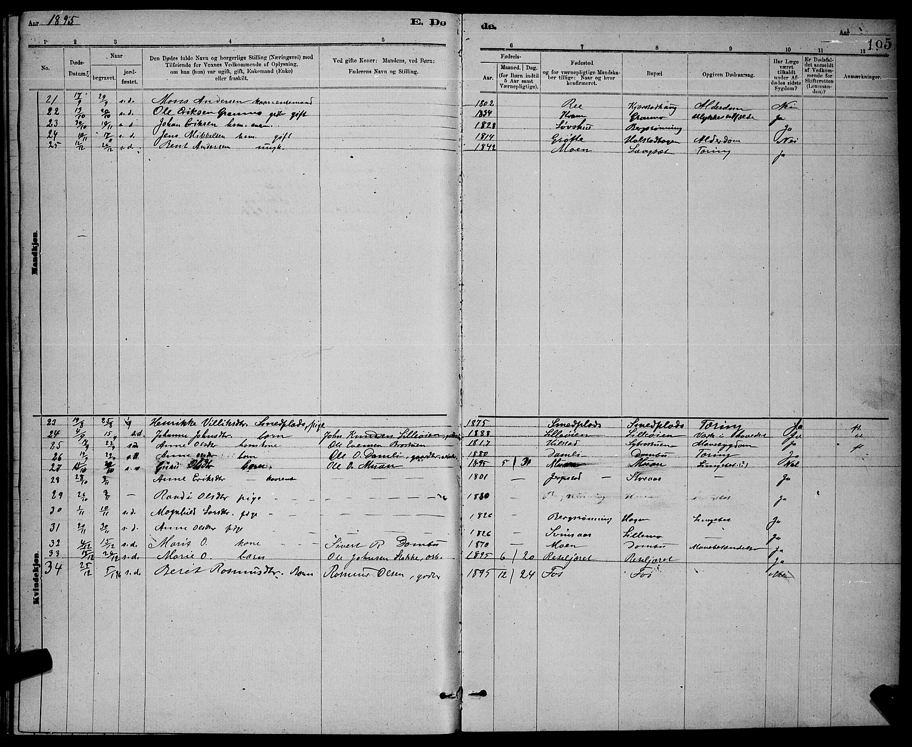 Ministerialprotokoller, klokkerbøker og fødselsregistre - Sør-Trøndelag, AV/SAT-A-1456/672/L0863: Parish register (copy) no. 672C02, 1888-1901, p. 195