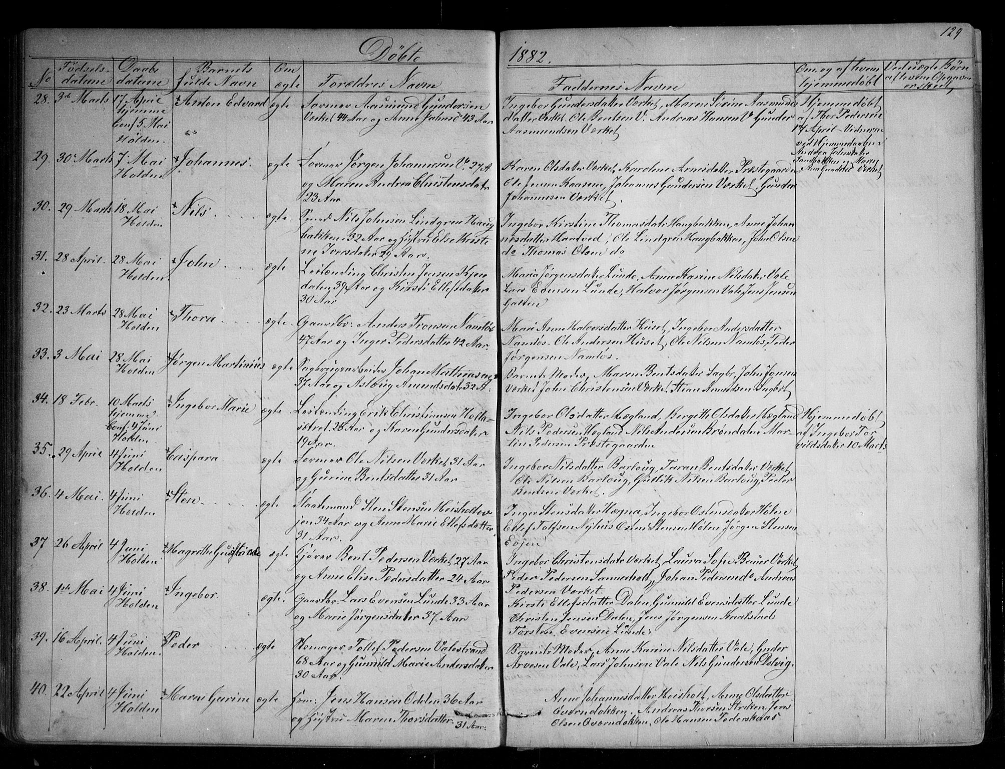 Holla kirkebøker, AV/SAKO-A-272/G/Ga/L0004: Parish register (copy) no. I 4, 1867-1890, p. 129