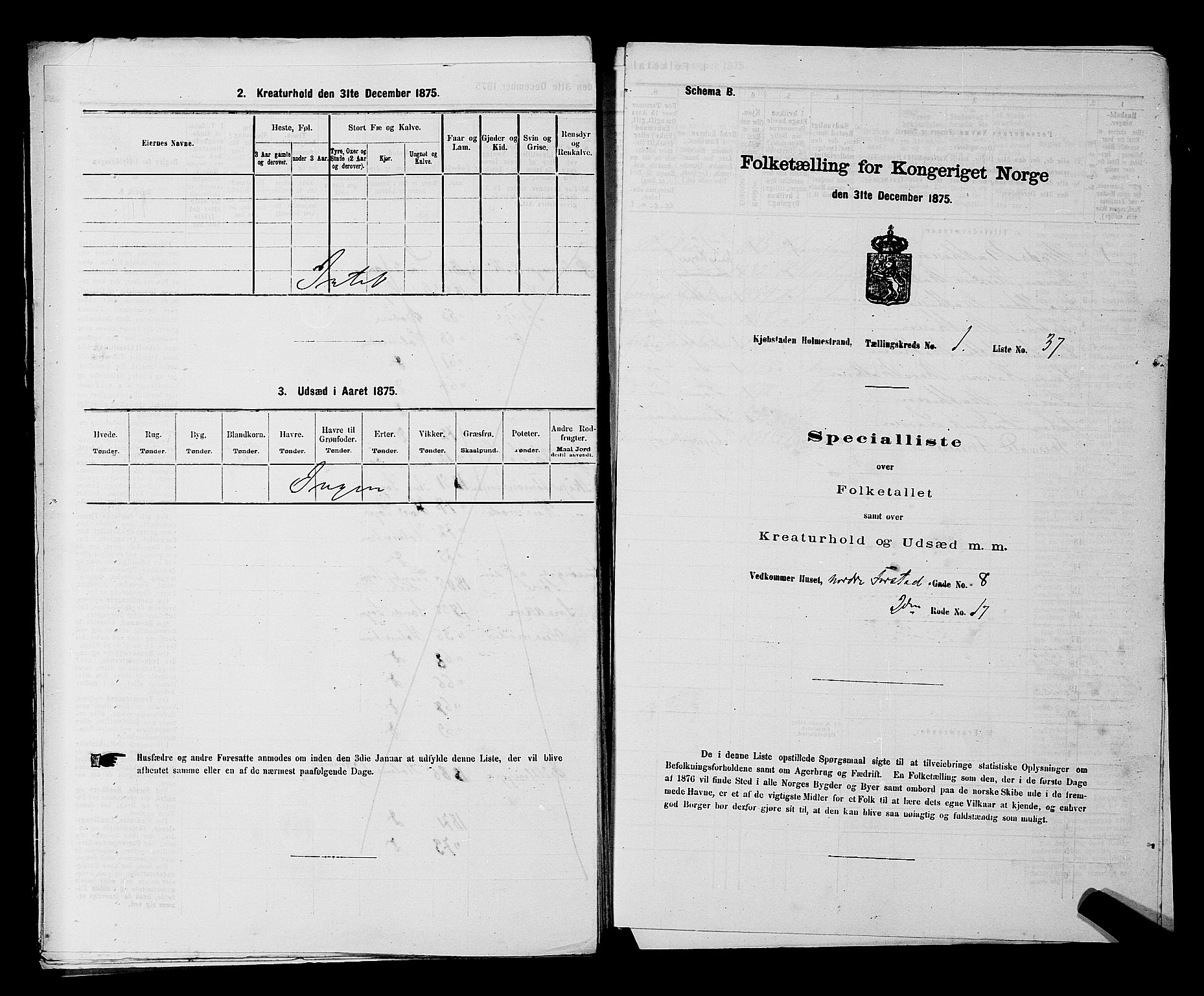 SAKO, 1875 census for 0702P Holmestrand, 1875, p. 71